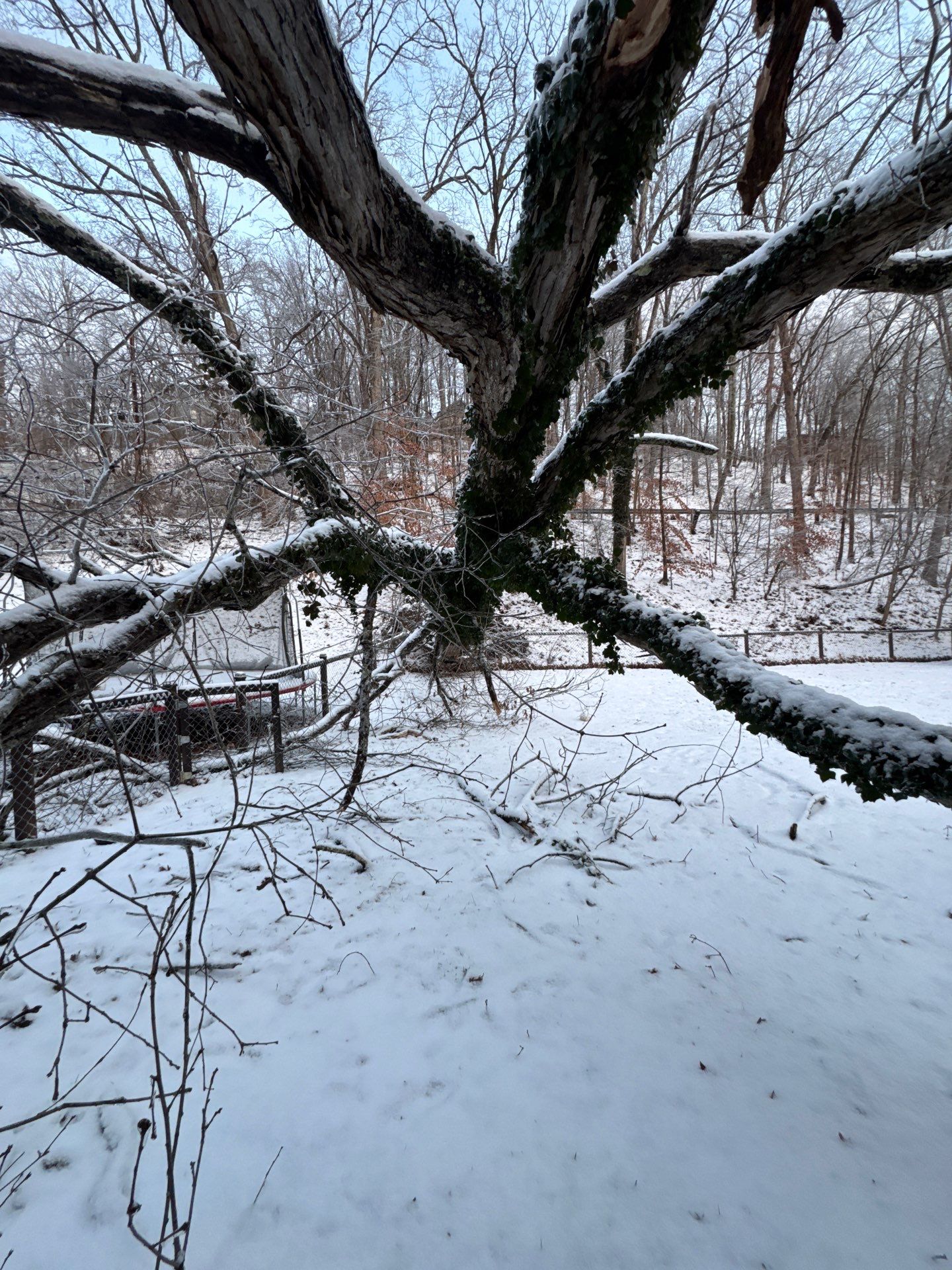 Project in Charleston, WV by Jones Empire LLC