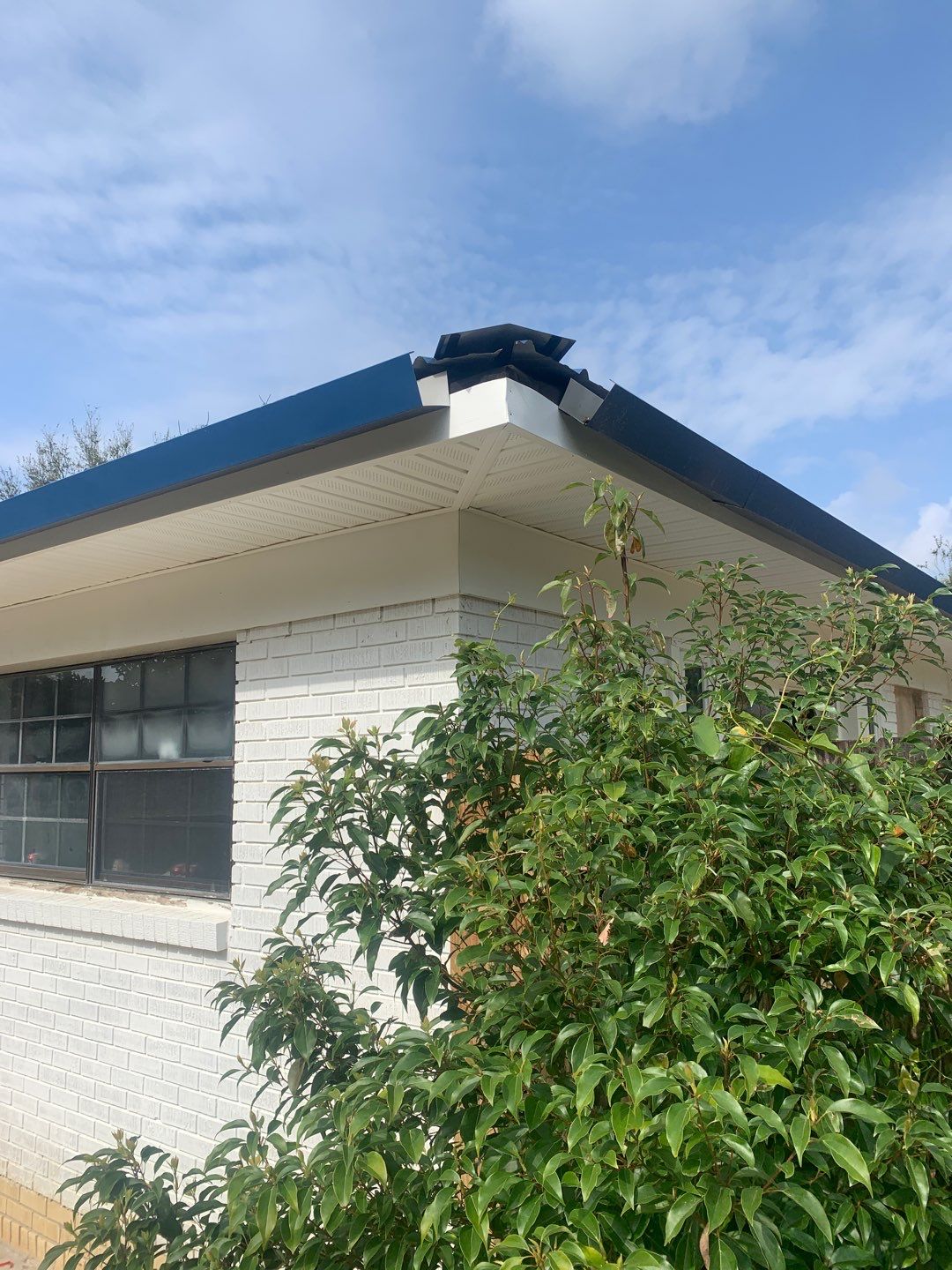 White Seamless Gutters and Black Downspouts by Gutter Professors