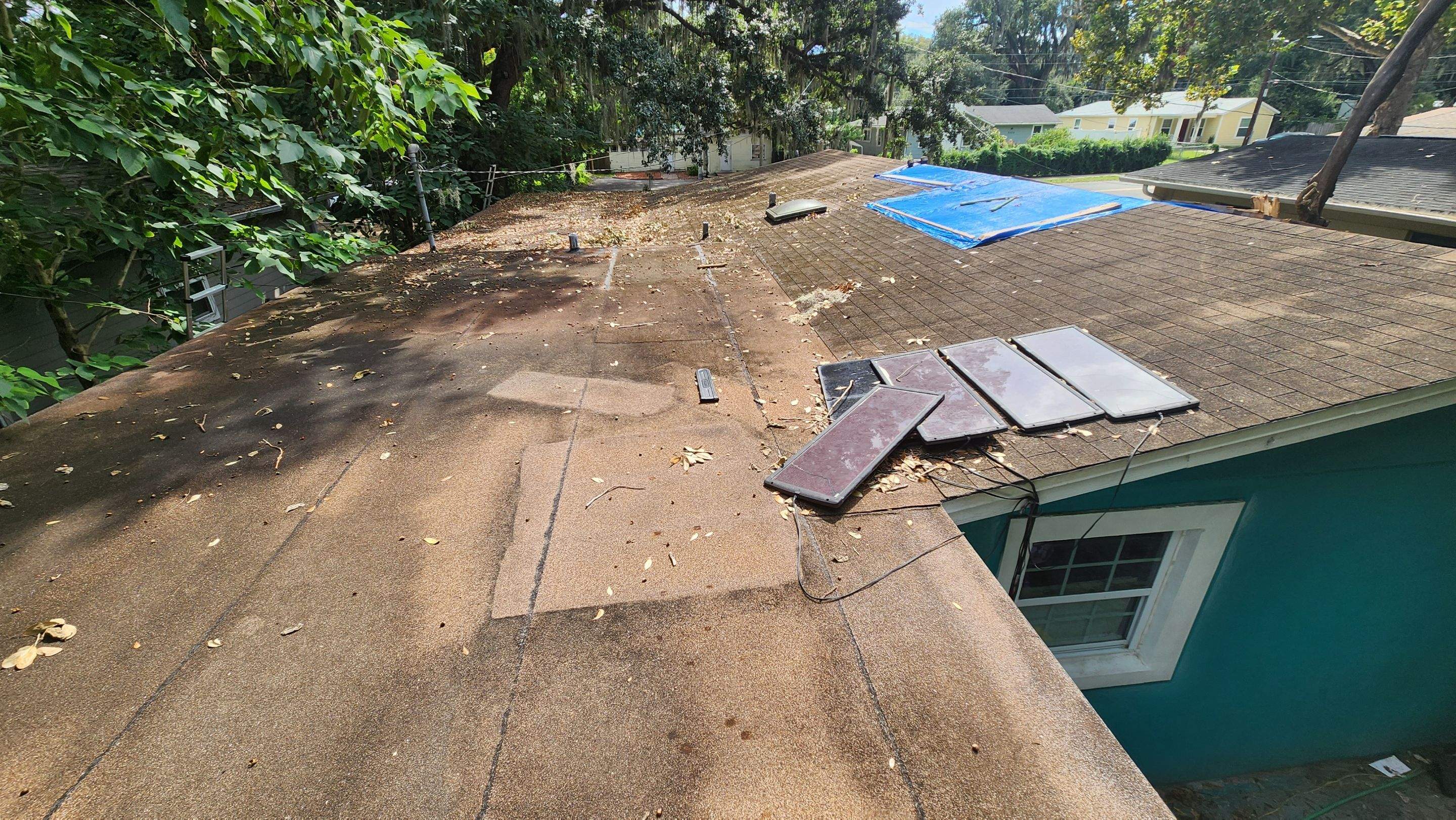 Tree Damage Claim in Orlando by FLAPA & KeyStone