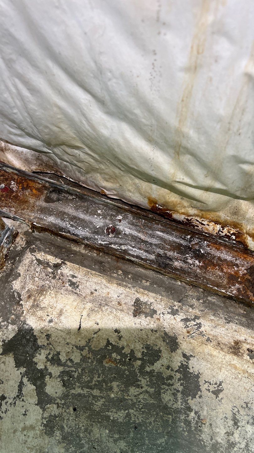 Mold Remediation by Accountable Home Services