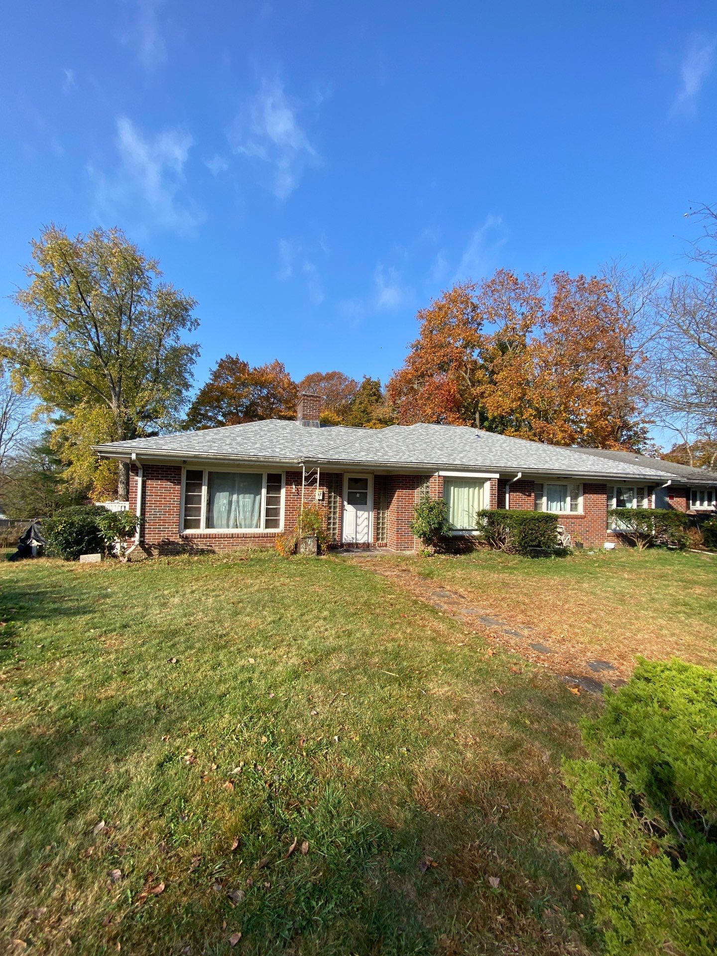 Silver Birch Shingles by Reimagine Roofing