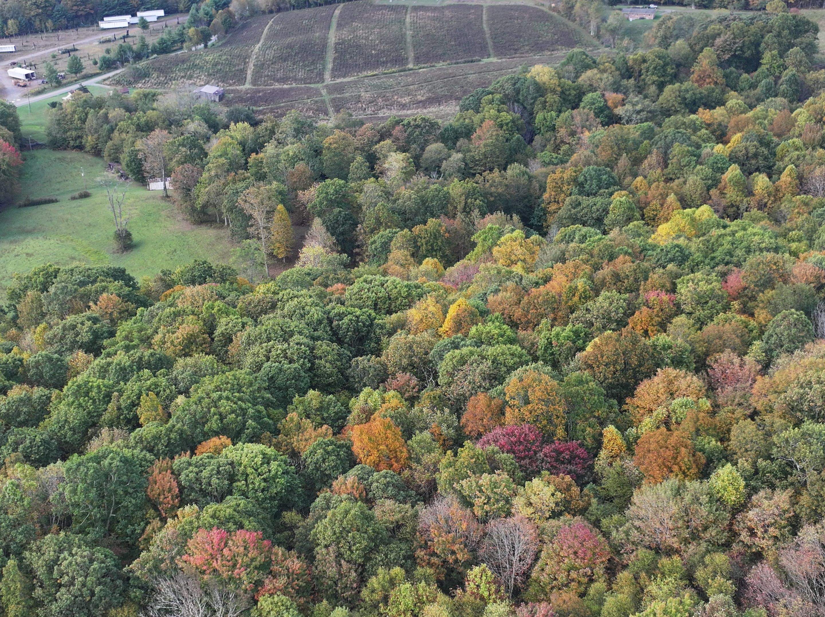 Brodour Barndominium  by Omnia Roofing