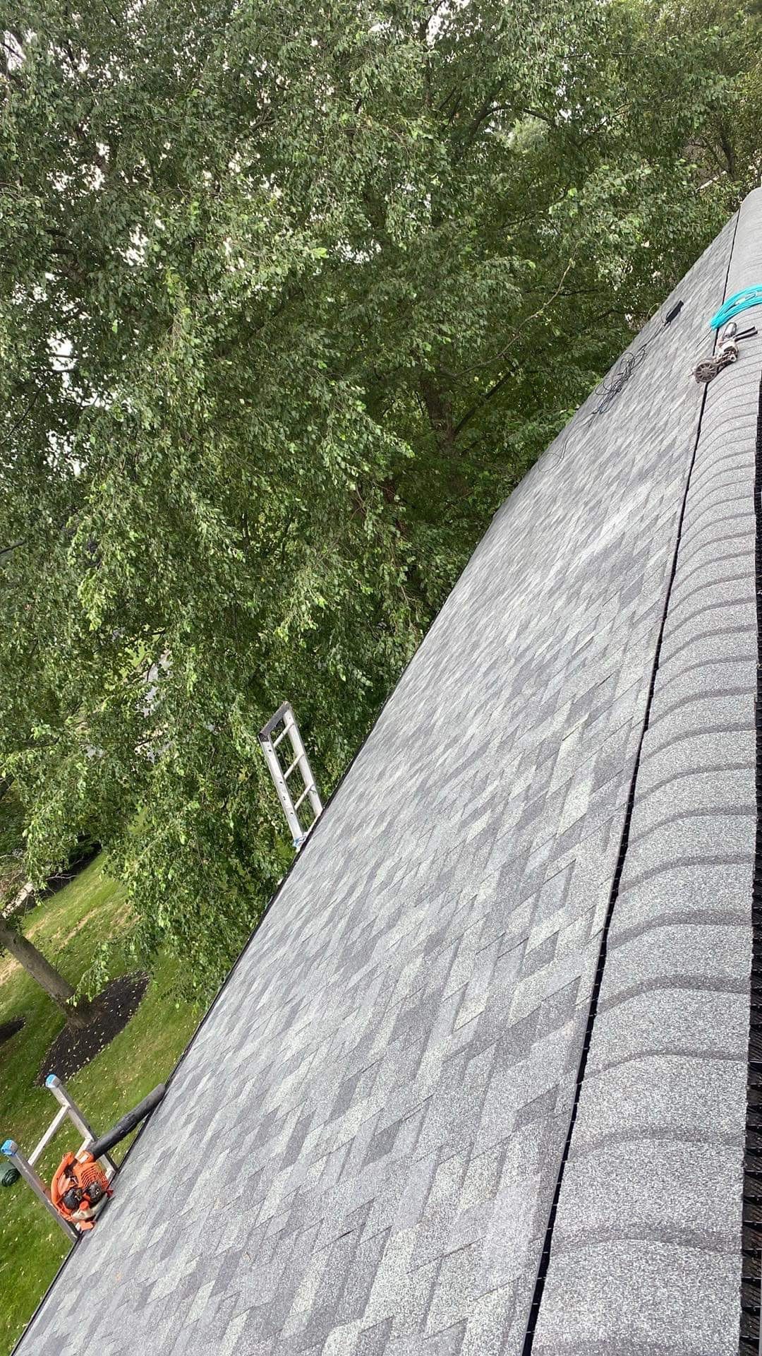 Silver Birch Shingles by Reimagine Roofing