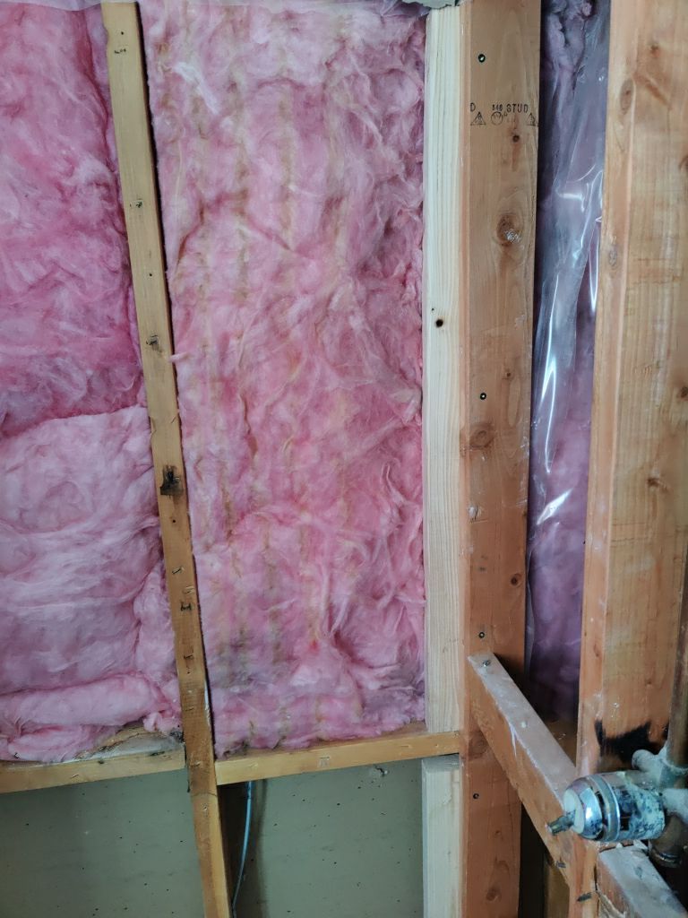 Mold Remediation  by Accountable Home Services