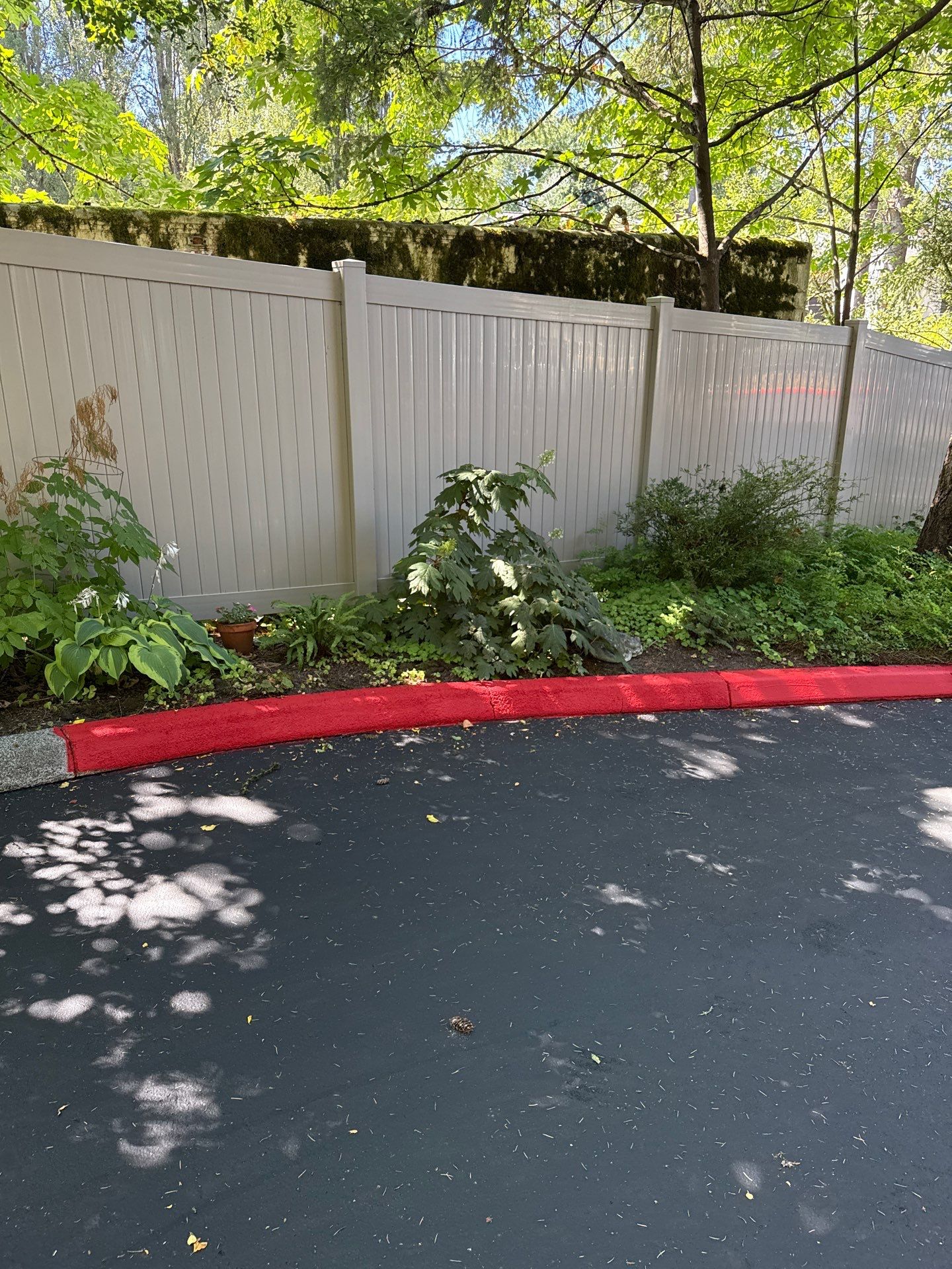 Curb Repaint | Seattle  by Jireh Asphalt & Concrete Inc 