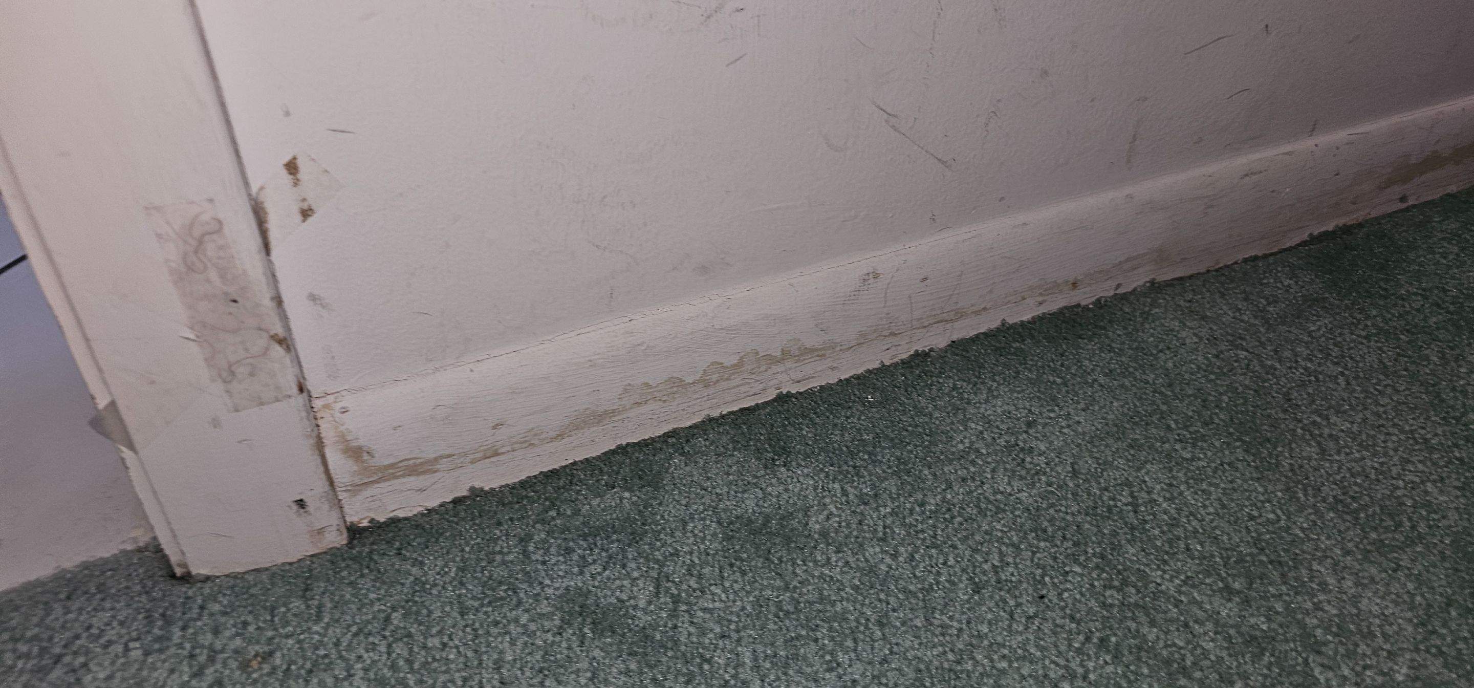 Water Damage Claim in Miami Beach by FLAPA & KeyStone
