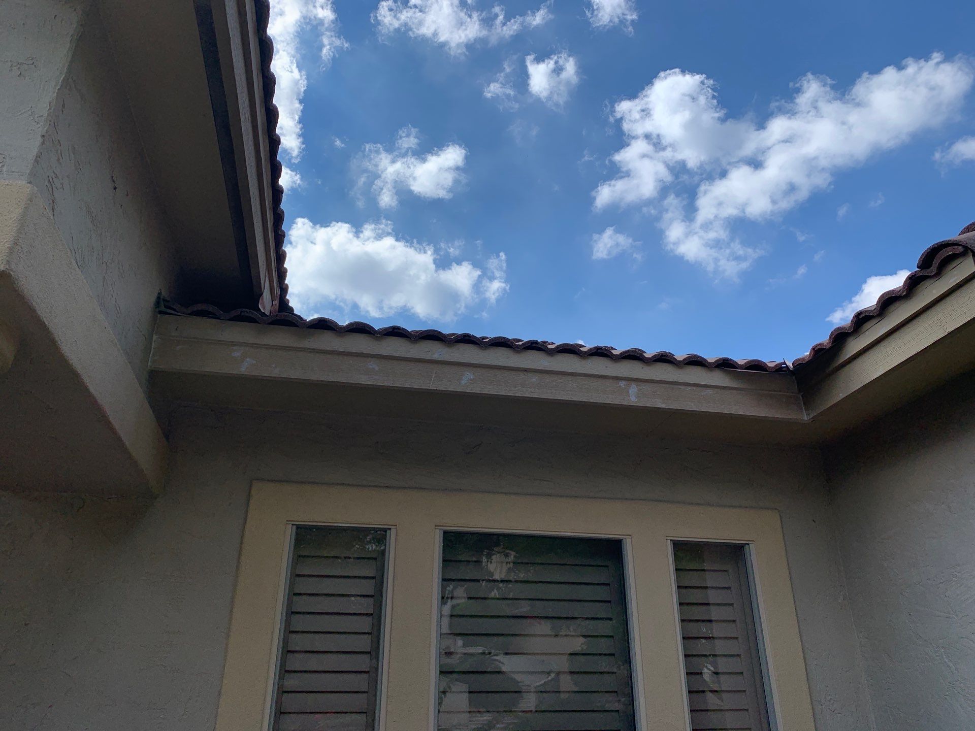 Fascia Carpentry Repair and Paint  by Rox Roofing