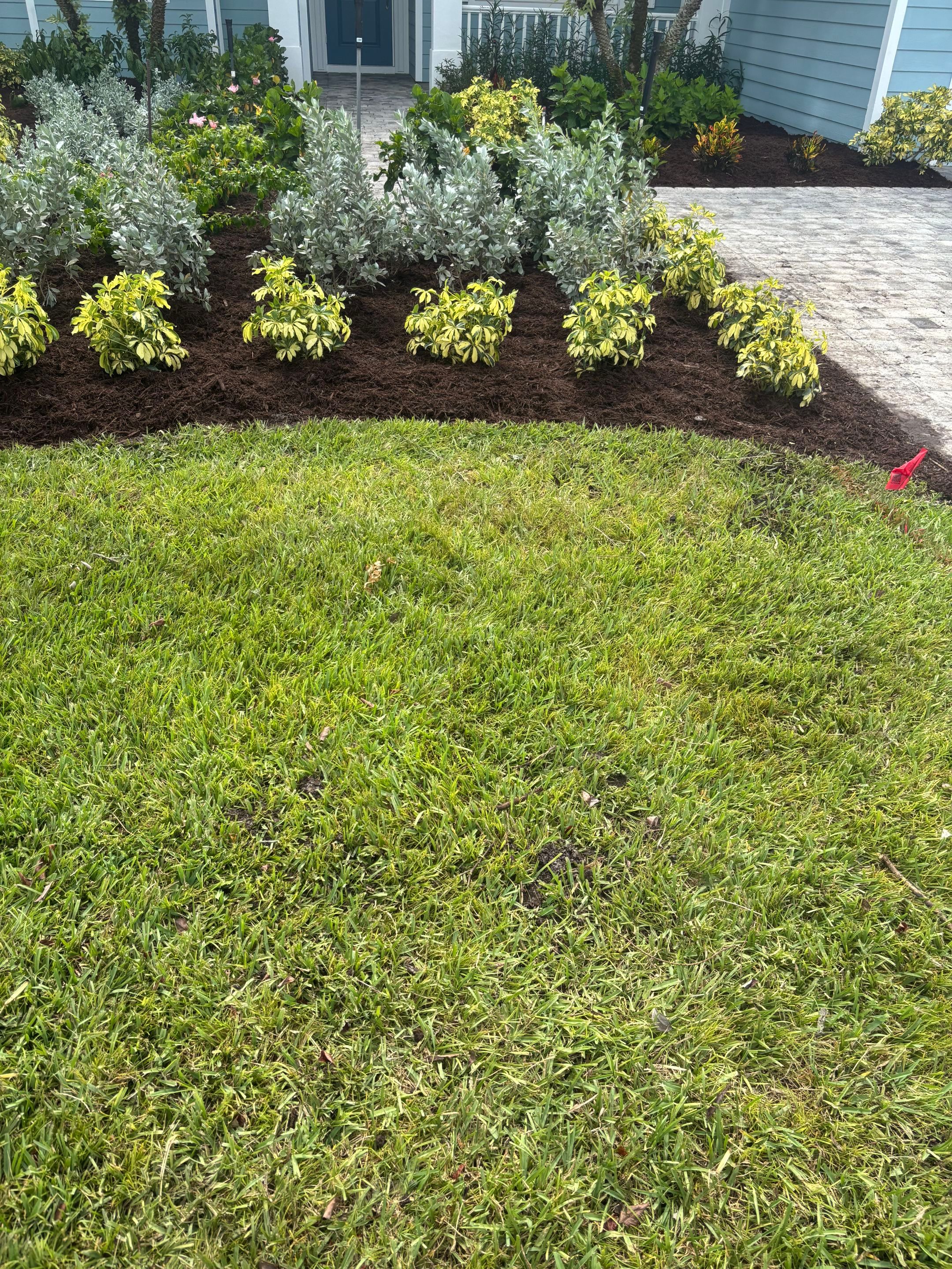 🌴✨ North River Shores Landscape Transformation ✨🌴 by Alpha Zeta Enterprises Inc