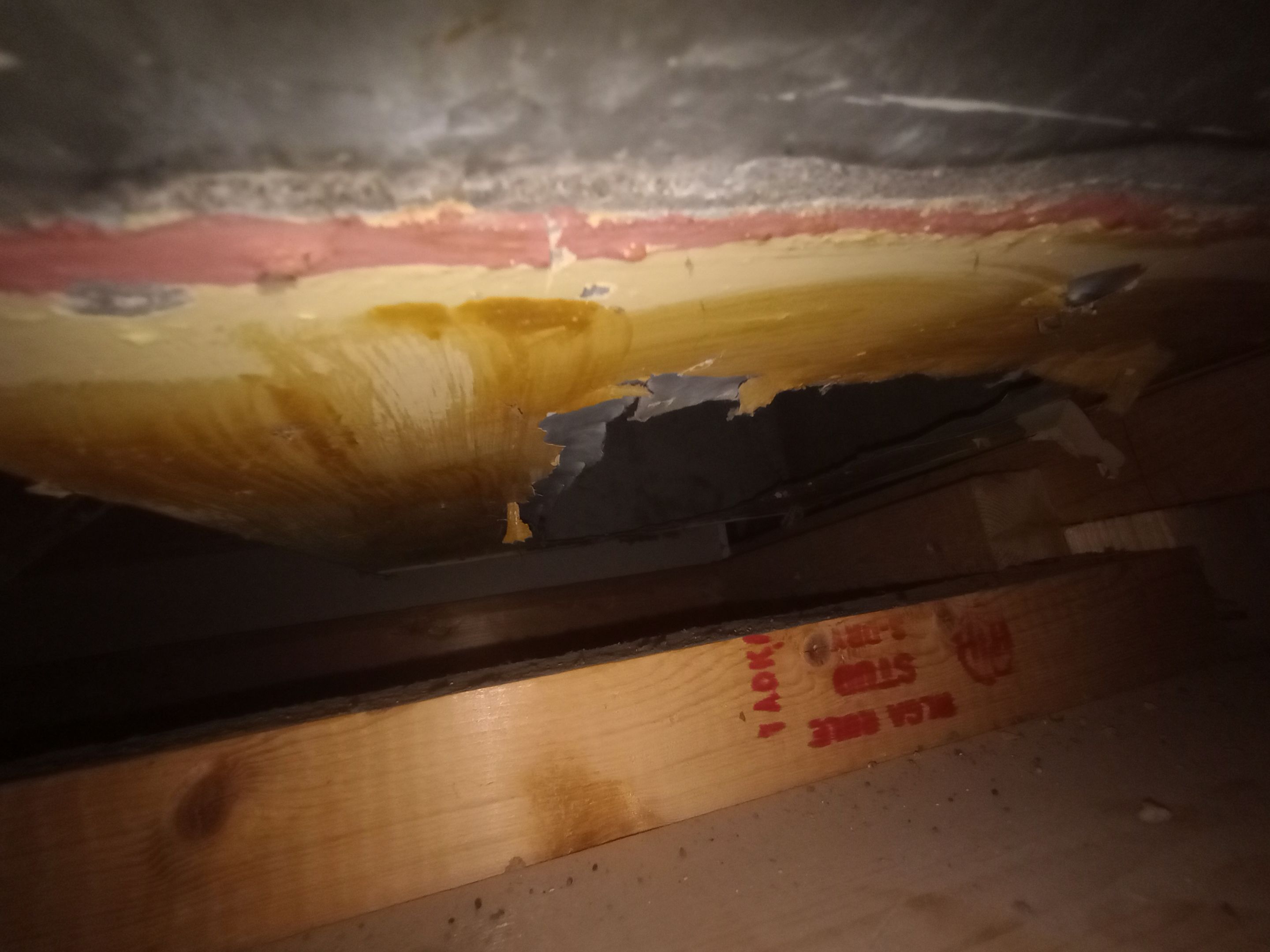 Mold Removal in Louisville, KY by ANR Restoration