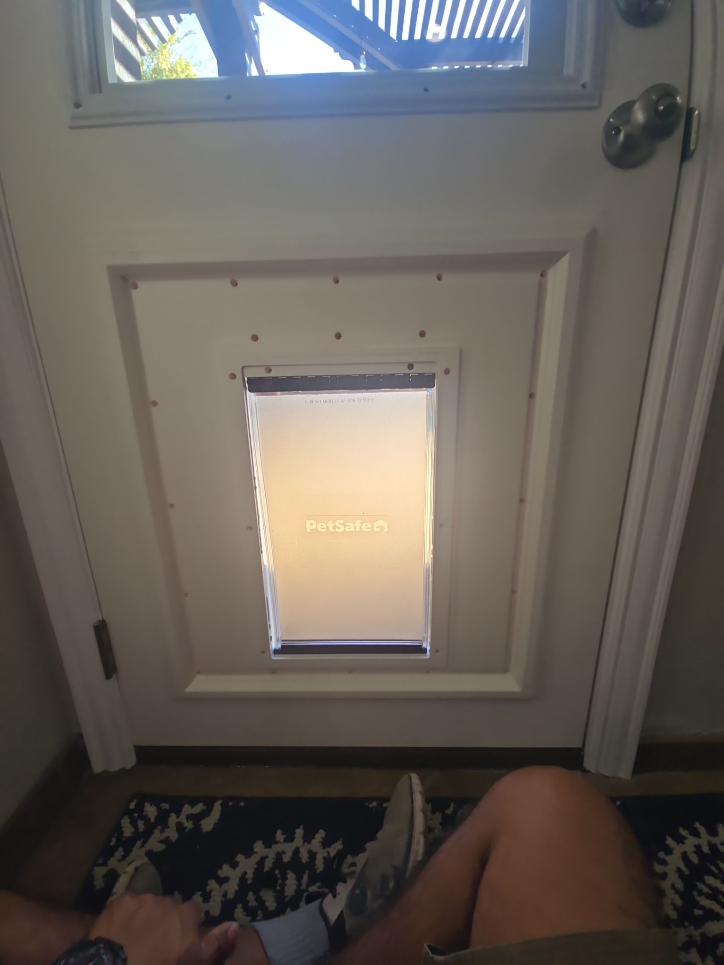 Dog Door Replacement by First Out Roofing 