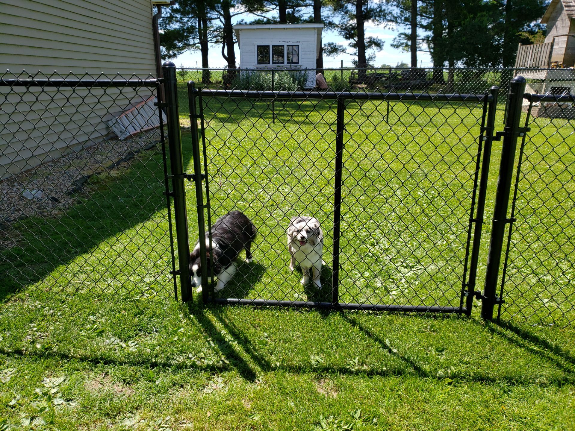Residential Black Vinyl-Coated Chain Link Fence Installation in Bristow by Perfect Picket Fence and Stain
