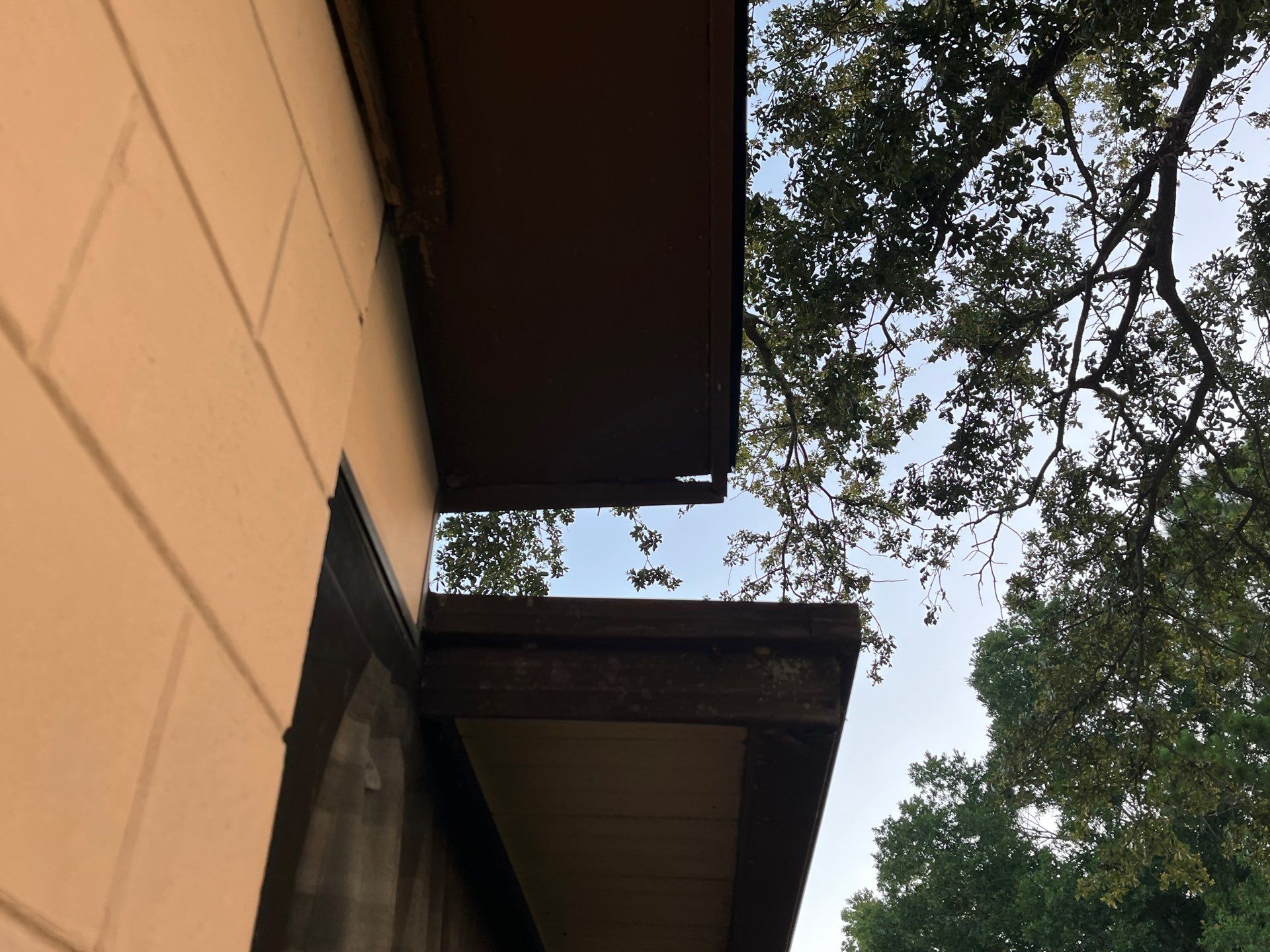 Project in Oldsmar 34677 by Mitchell Roofing Company LLC