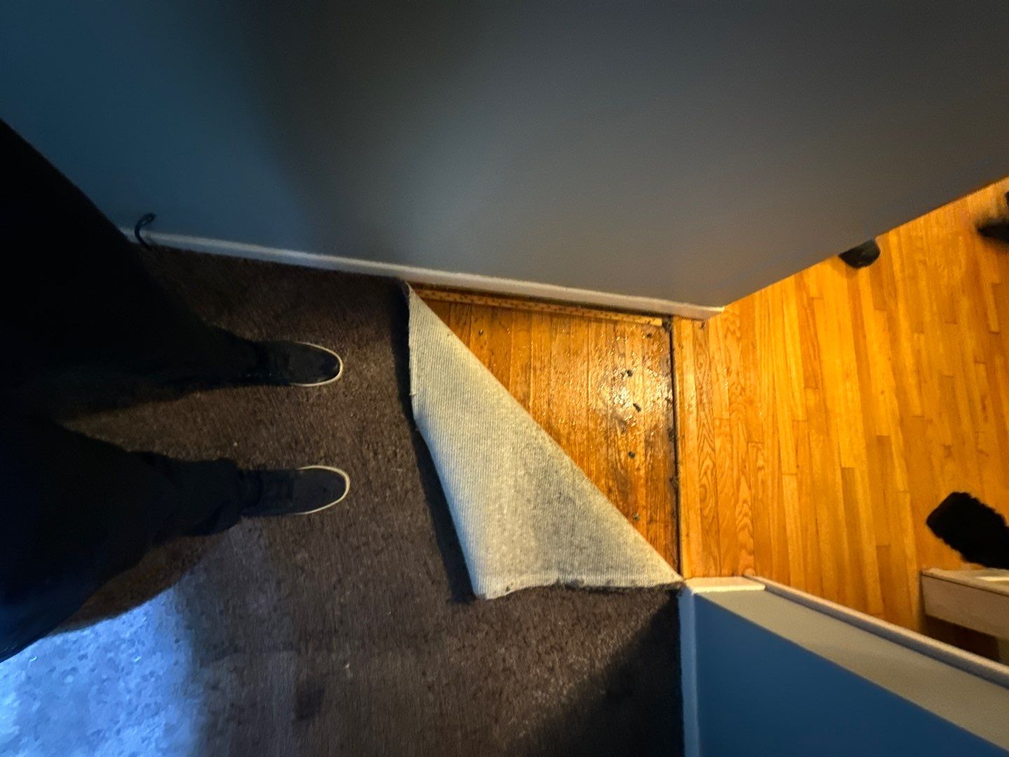 Project in Dearborn by EzDry Water Mitigation & Property Restoration