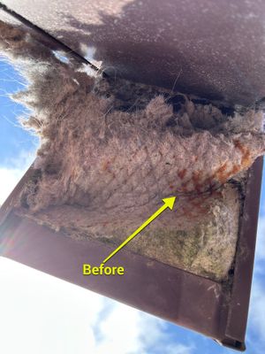 Air Duct Dryer Vent Cleaning in Clermont