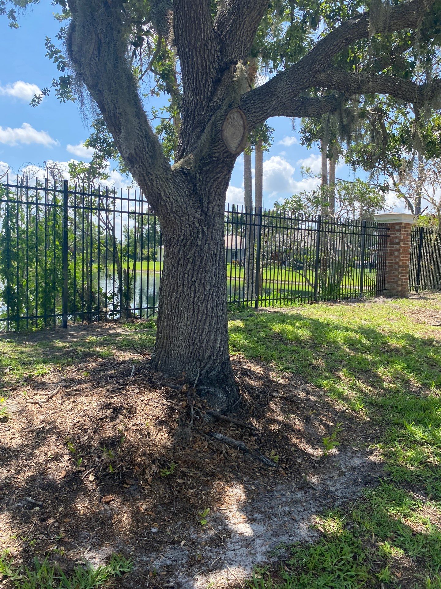 7900 Charleston St  by H&Y Fence