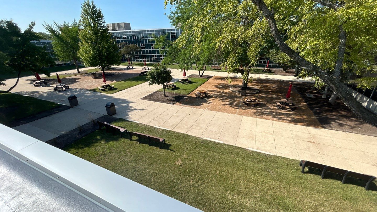 concrete using Algaecide, soft wash soap by Northern Power Washing LLC.