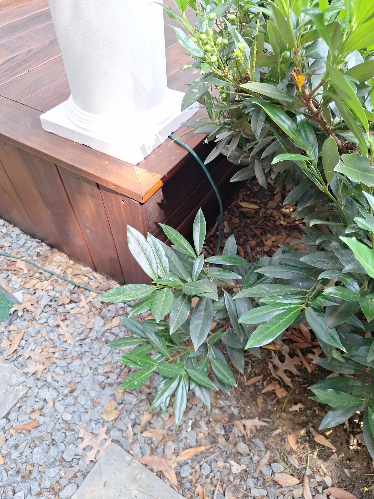 Exterior House Painting in Arlington, VA by My Painter 