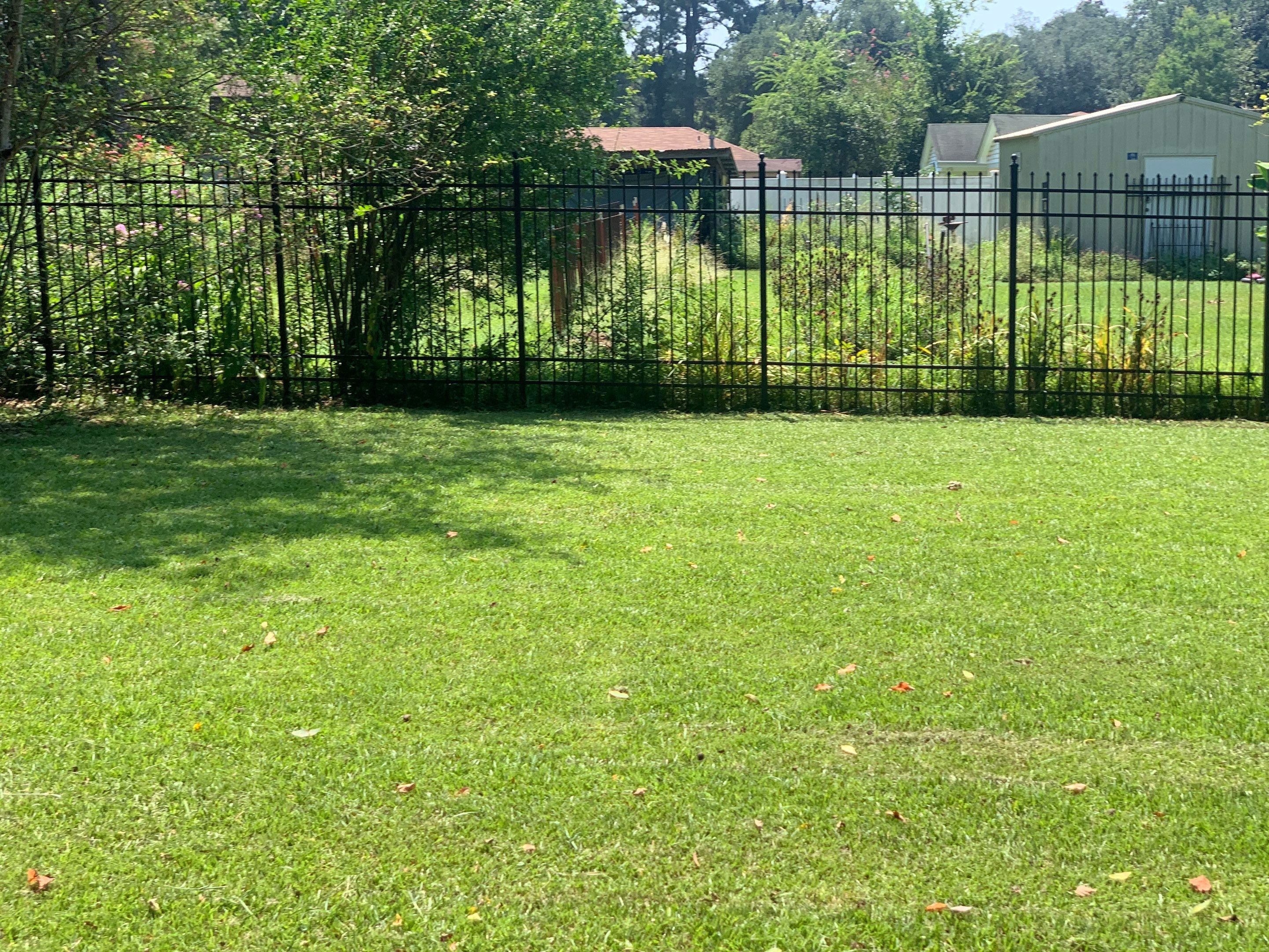 Yard Makeover by College Bros Outdoor services