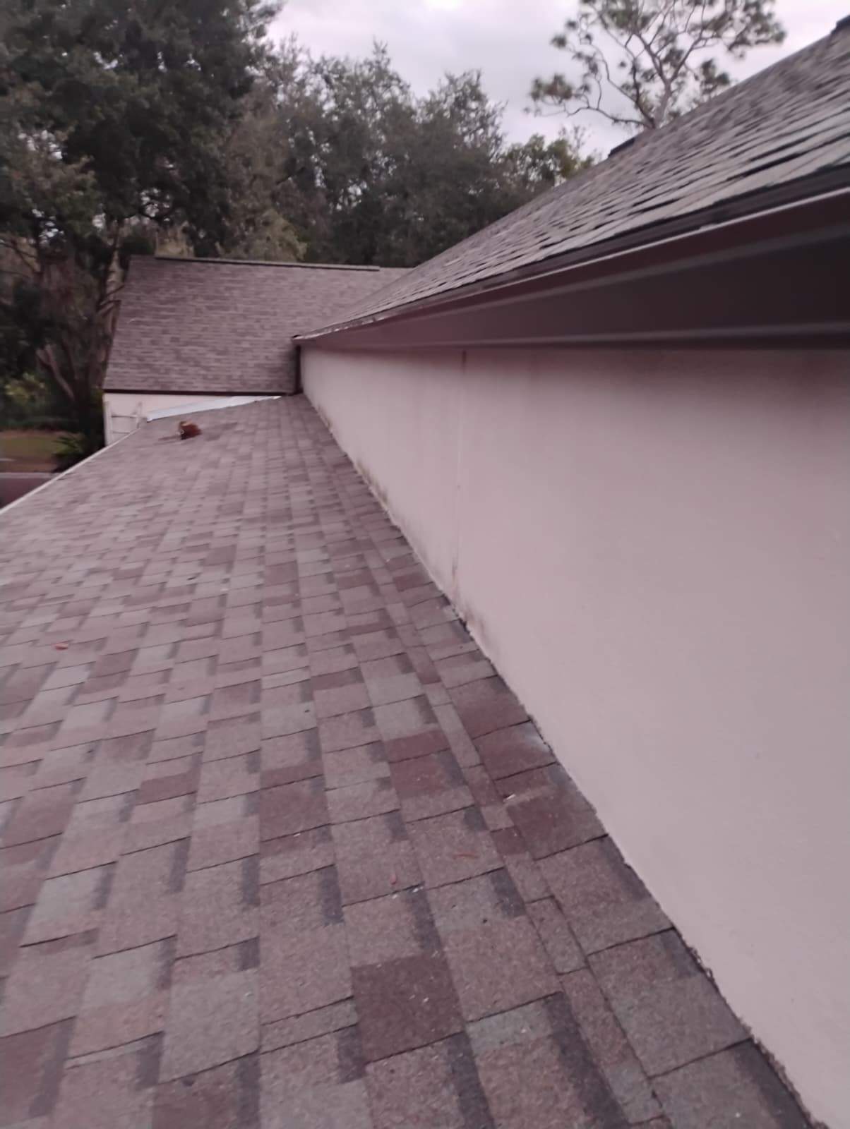 test by Yowells Roofing
