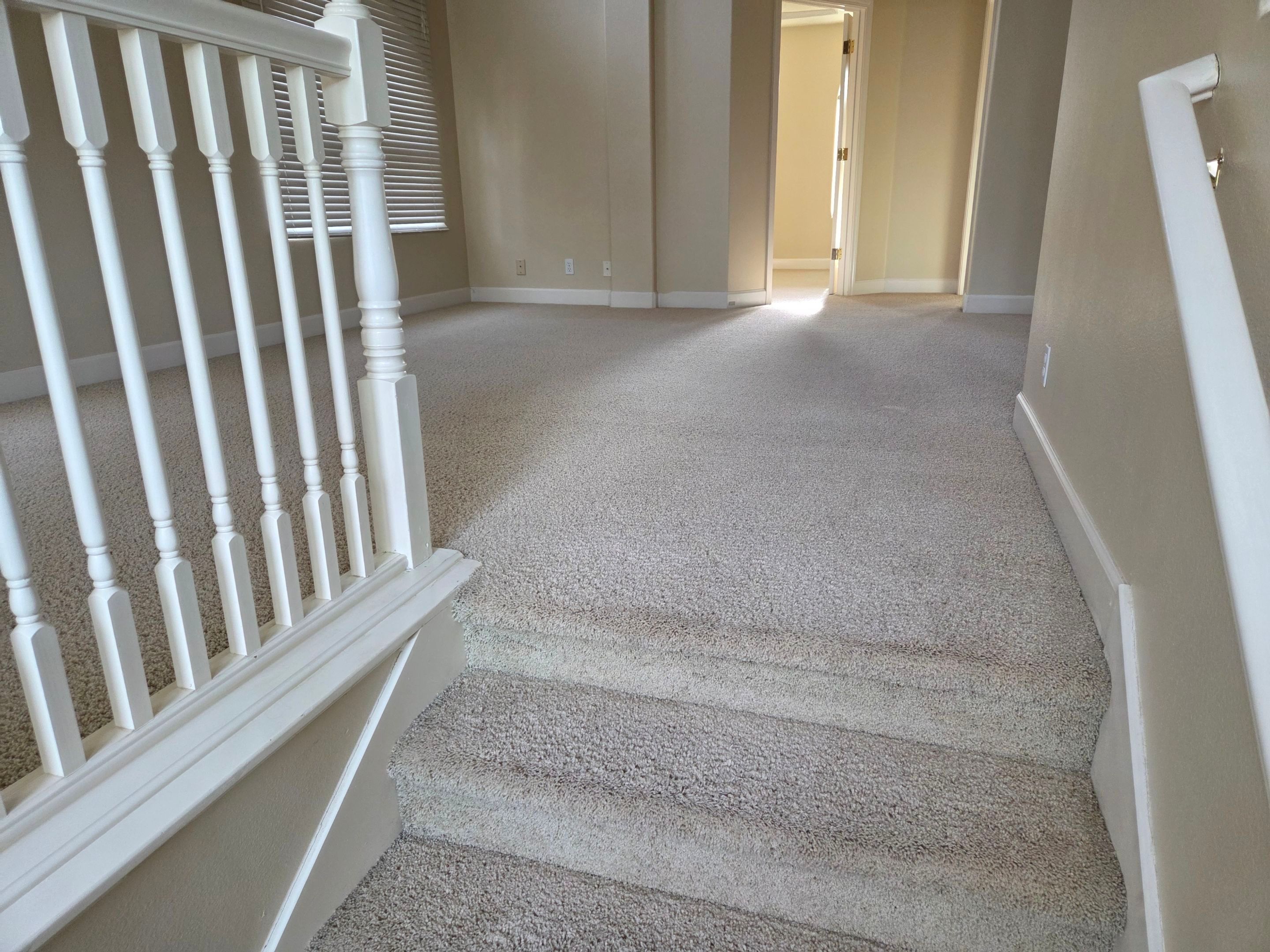 Carpet Cleaning and Stain Removal in Shingle Springs by Ardent Carpet Restore LLC