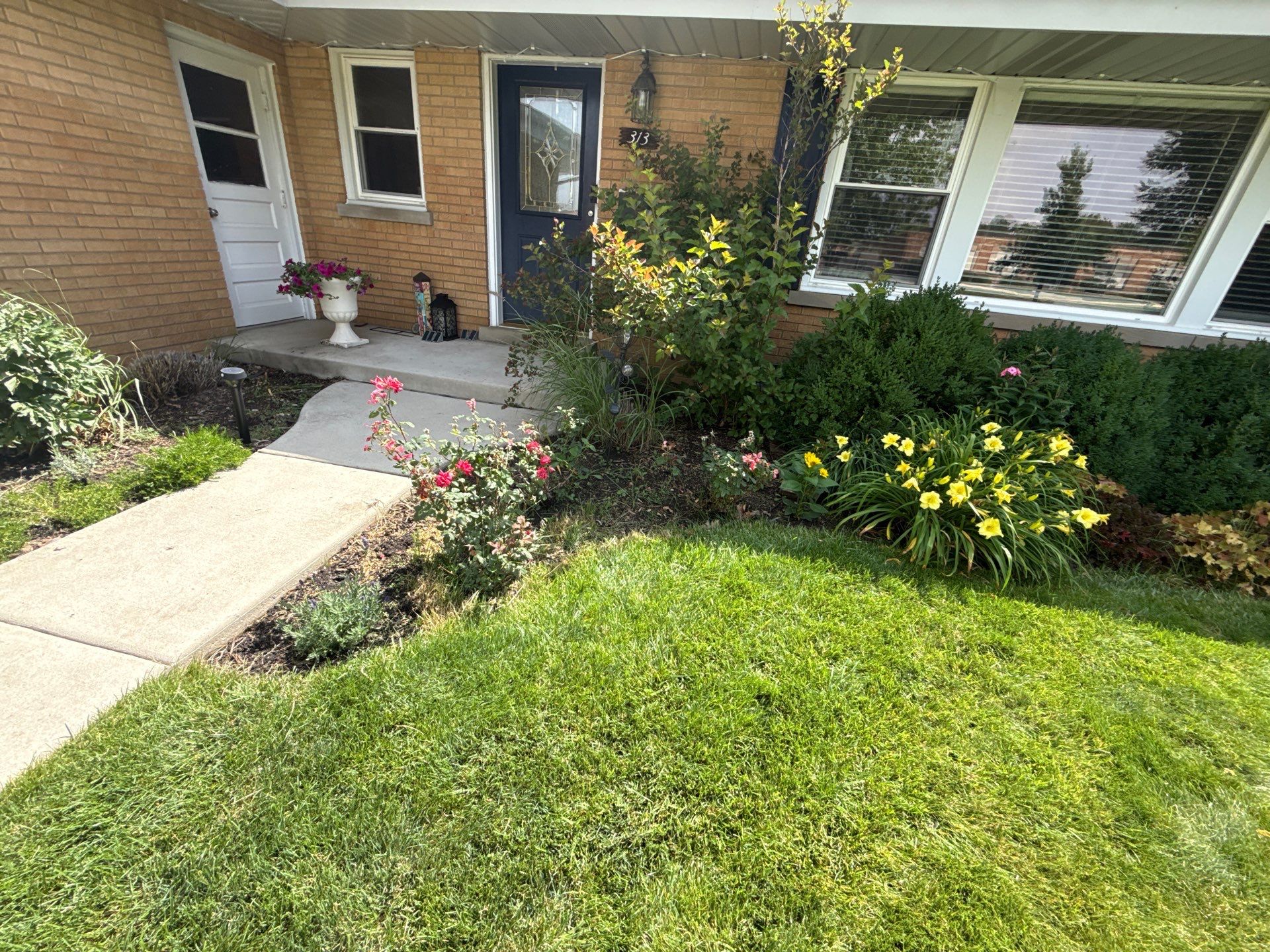 Cheris B. - Mount Prospect, IL by A&N 