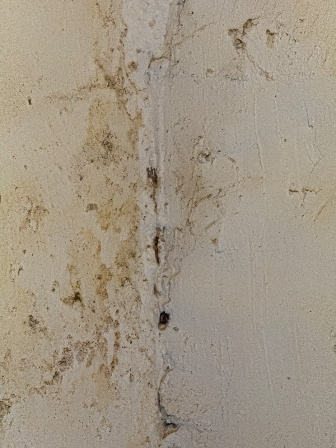 Drain Tile, Sump Pump & Discharge in South Minneapolis by Waterproofing Northeast