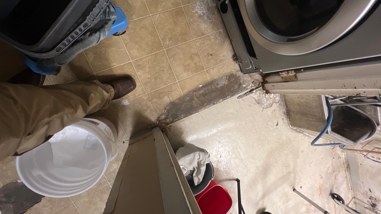 The Gardens of Rome by PC&D