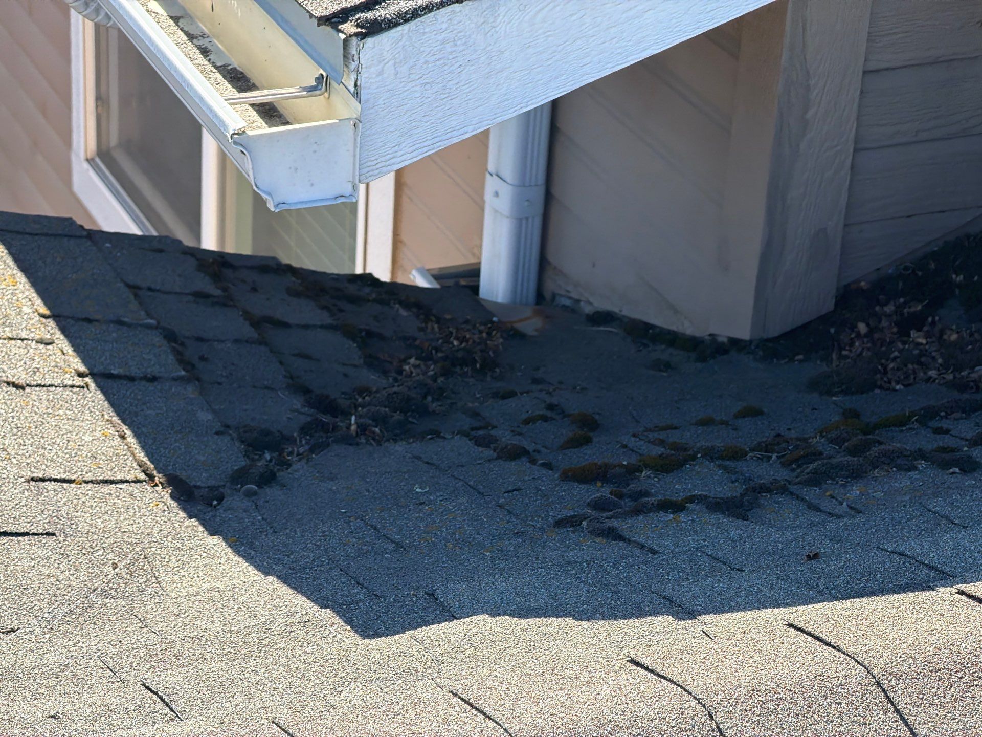 Residential Roof Replacement With Architectural Shingles in Spokane by Alpine Roofing