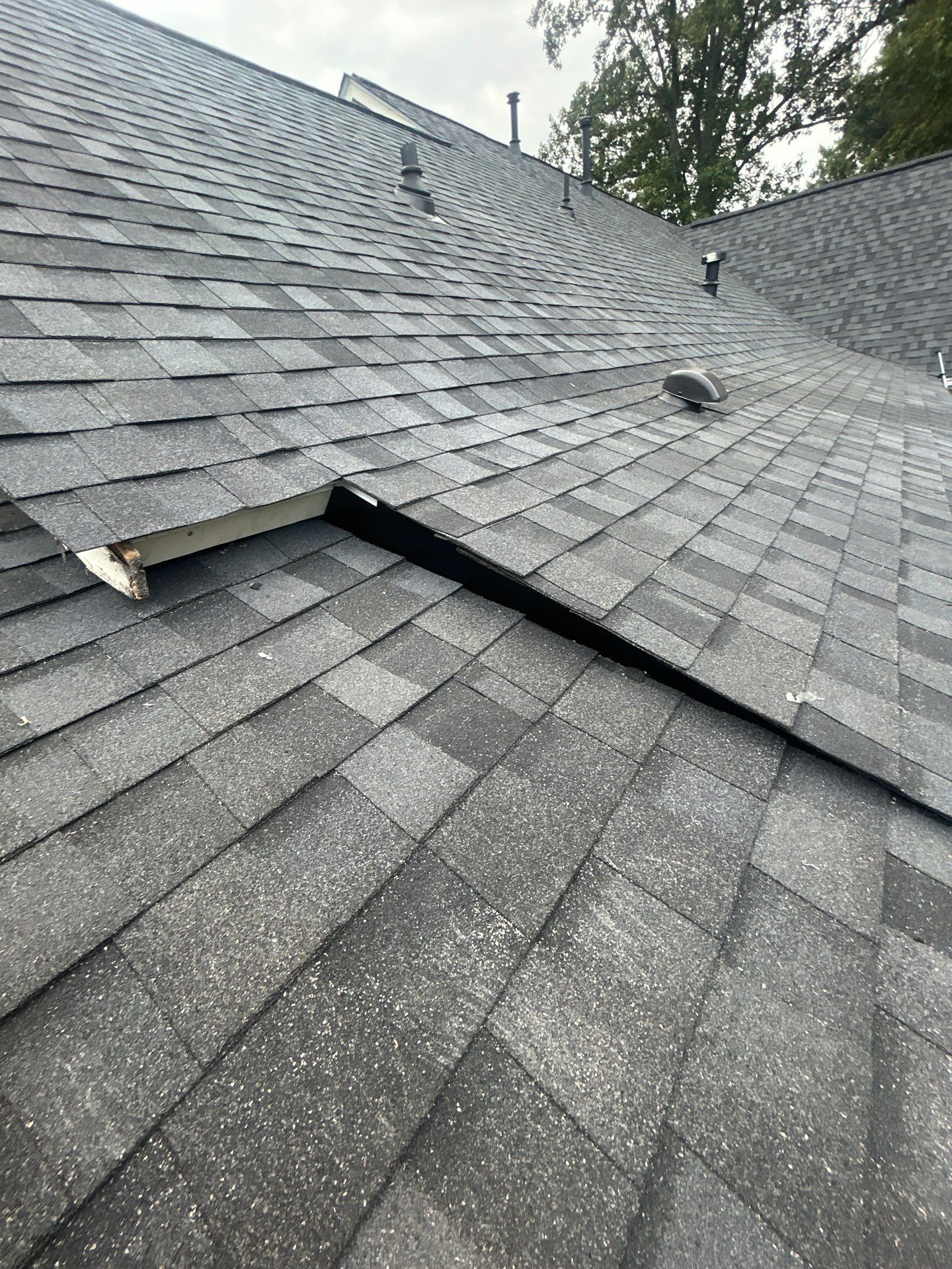 Great Falls : residential Roof with CertainTeed Landmark Pro in Max Def Moire Black  by RM Banning, Inc.