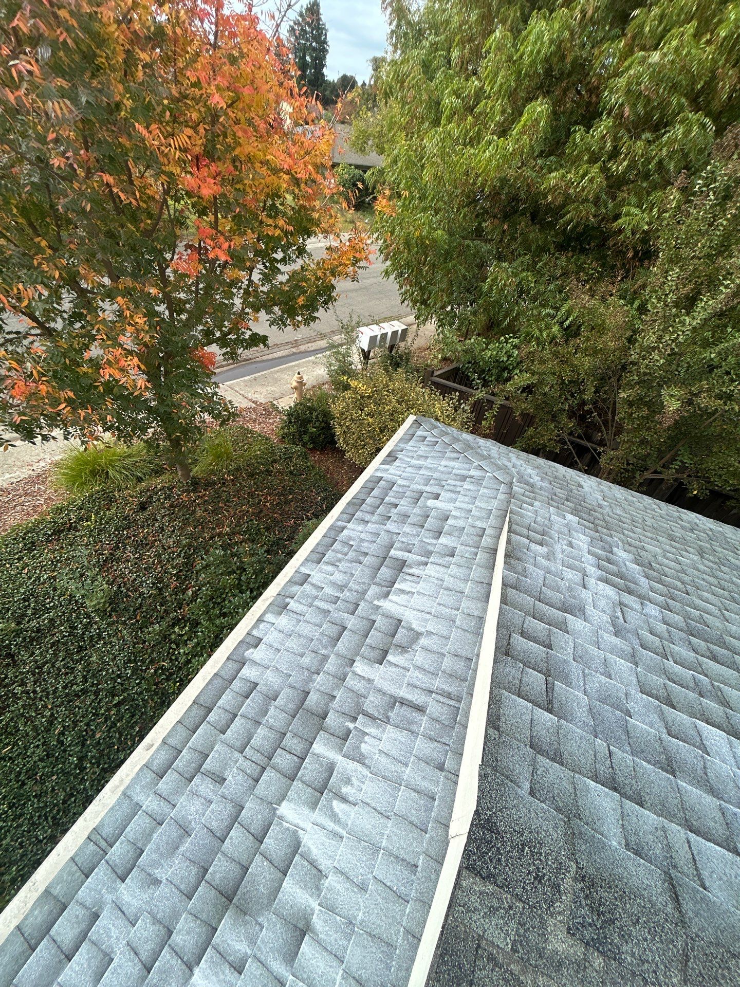 Roof Rejuvenation using Roof Maxx Treatment by Roof Maxx of Folsom
