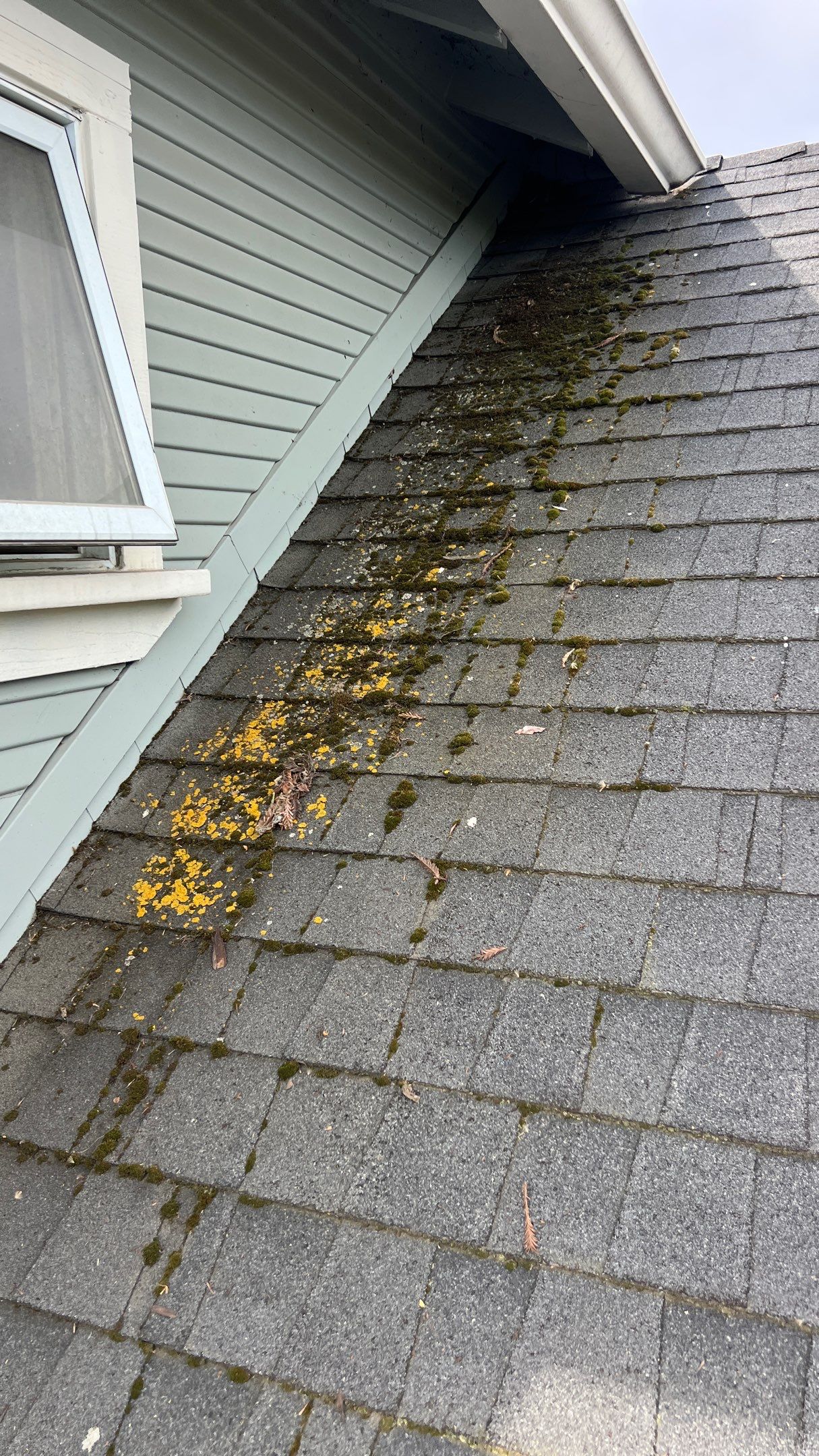 Roof Rejuvenation using Roof Maxx Treatment by Roof Maxx of Folsom