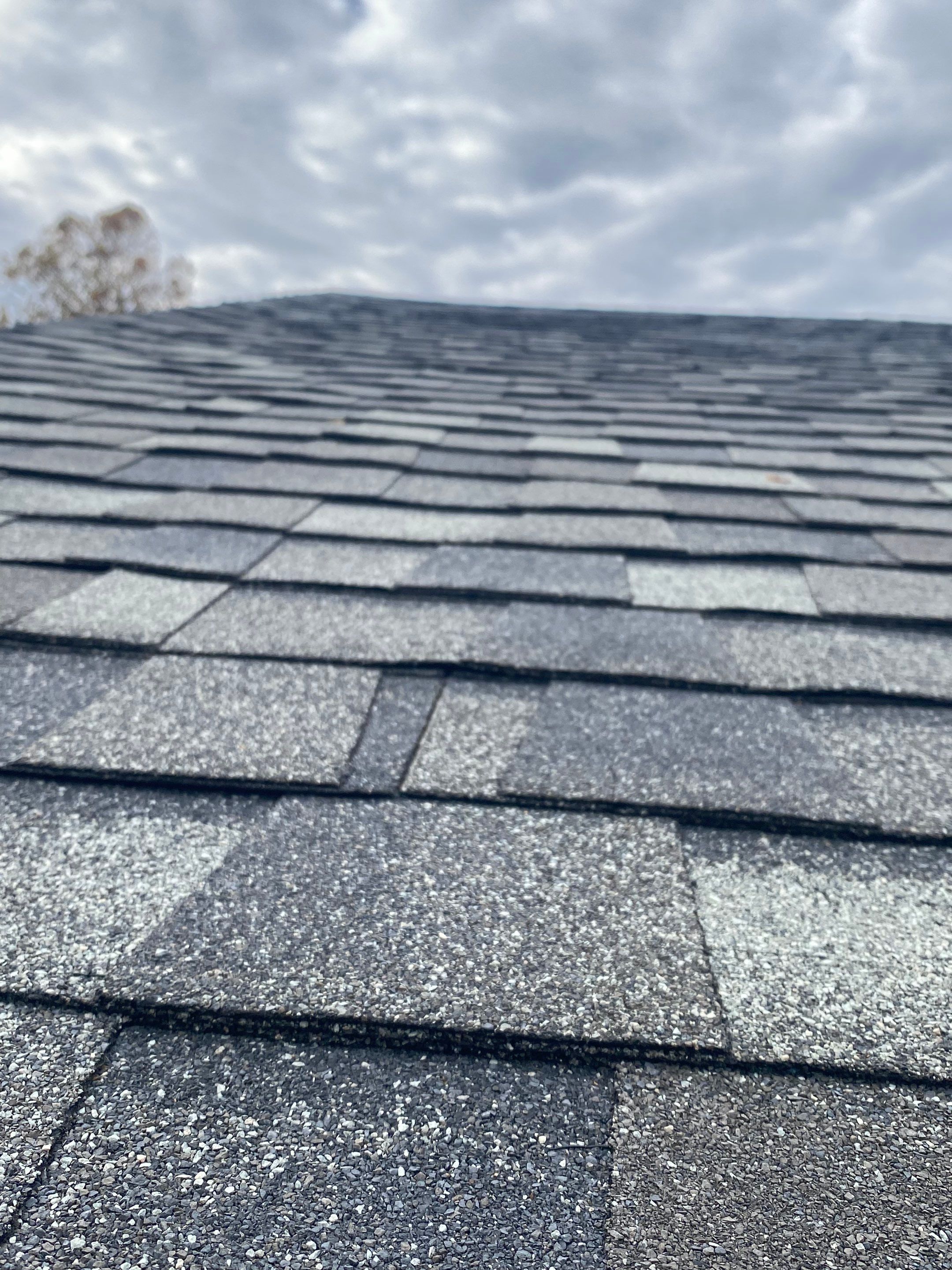 Arlington: Residential Roof Replacement with CertainTeed Landmark Pro in Max Def Georgetown Gray by RM Banning, Inc.