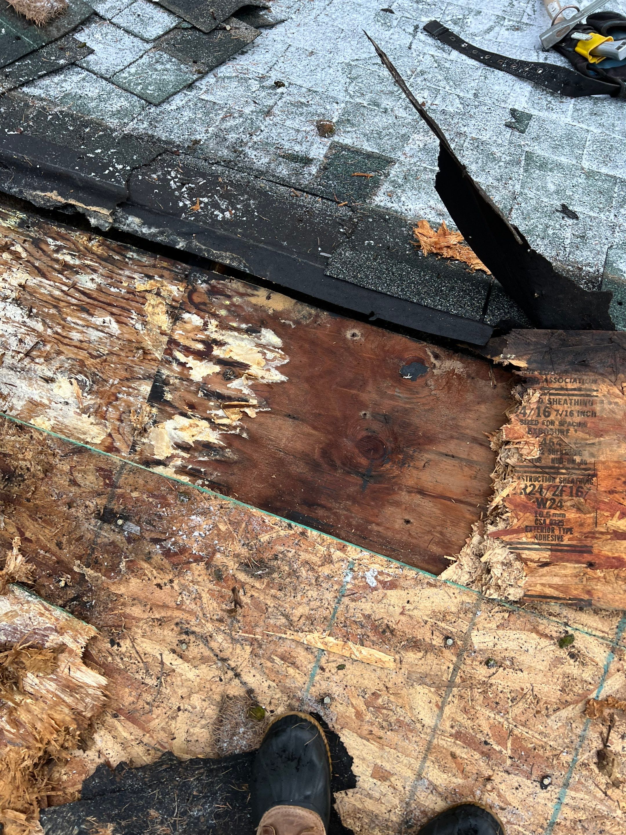 GAF Timberline HDZ - Hunter Green by Montana Roofing Solutions