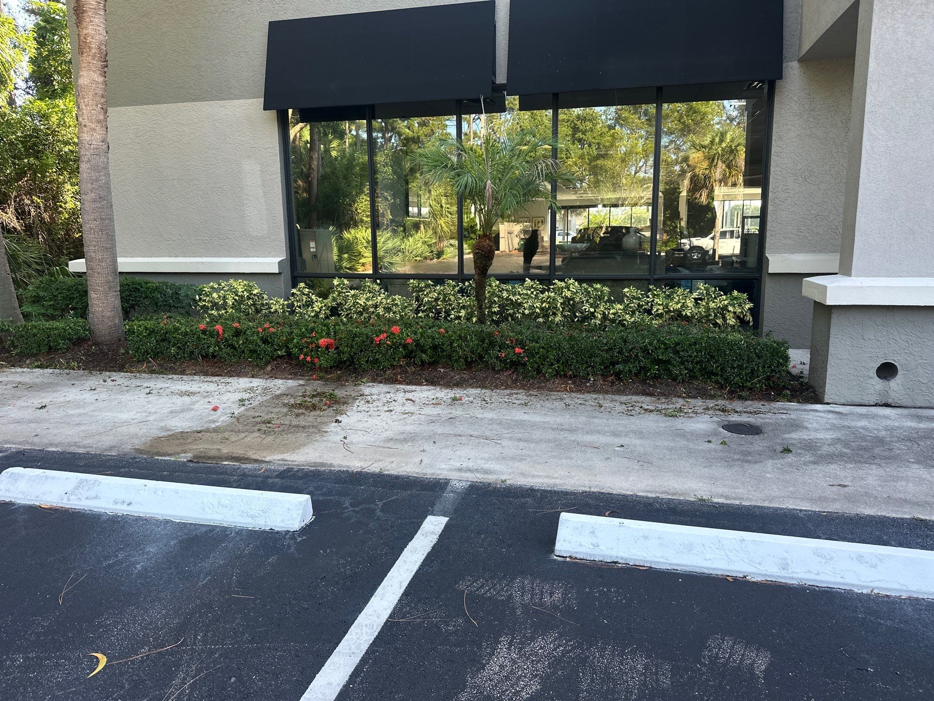 🛏️ City Mattress Refresh — Jensen Beach by Alpha Zeta Enterprises Inc