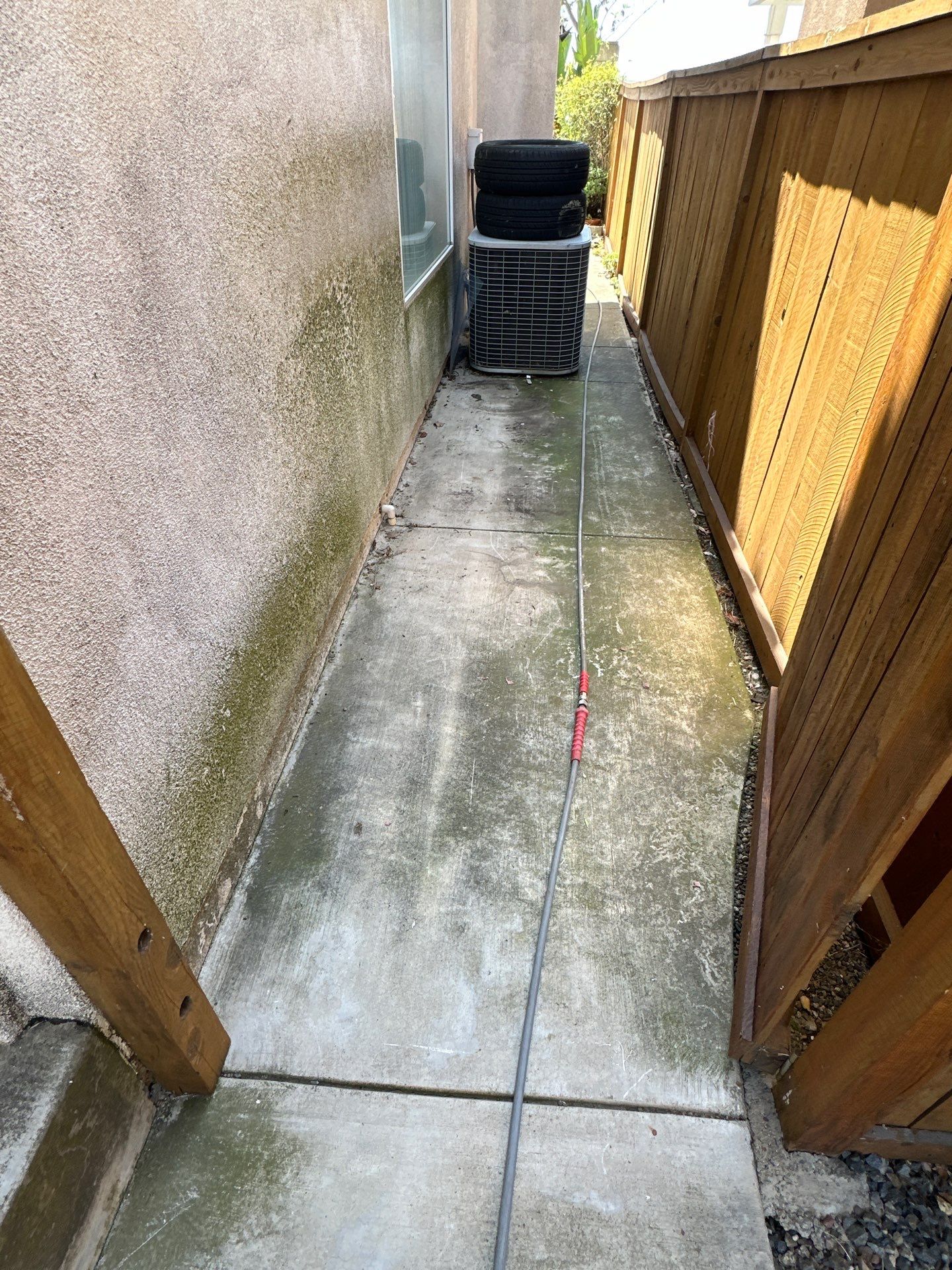 This home was COVERED in growth by Property Cleaning Experts, LLC