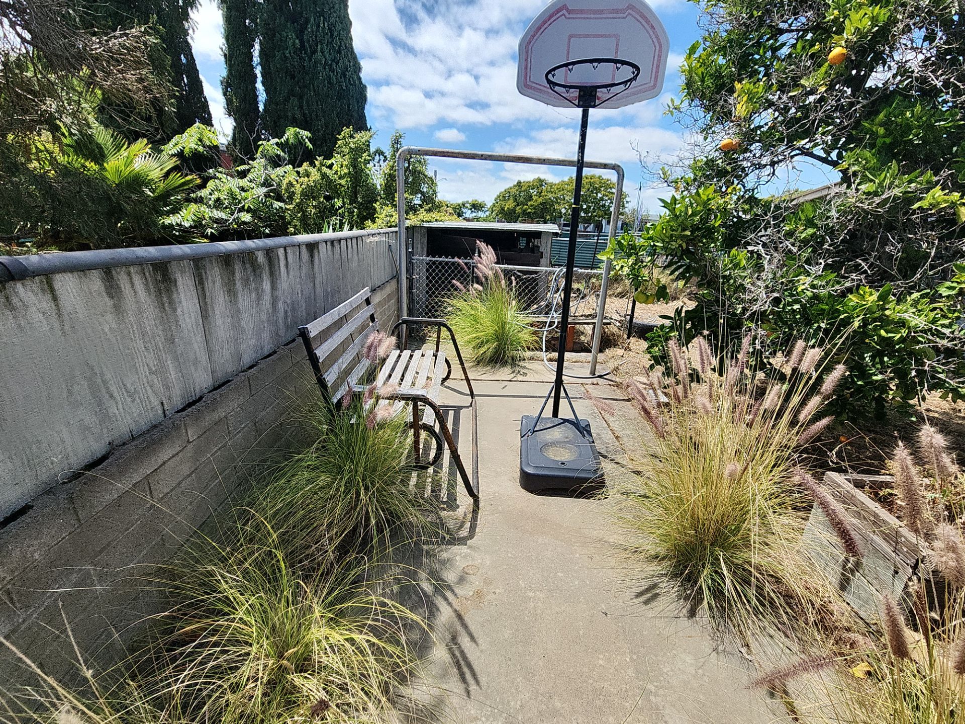 Residential Site Clearing and Landscape Clean Up in San Diego by Yard Techs