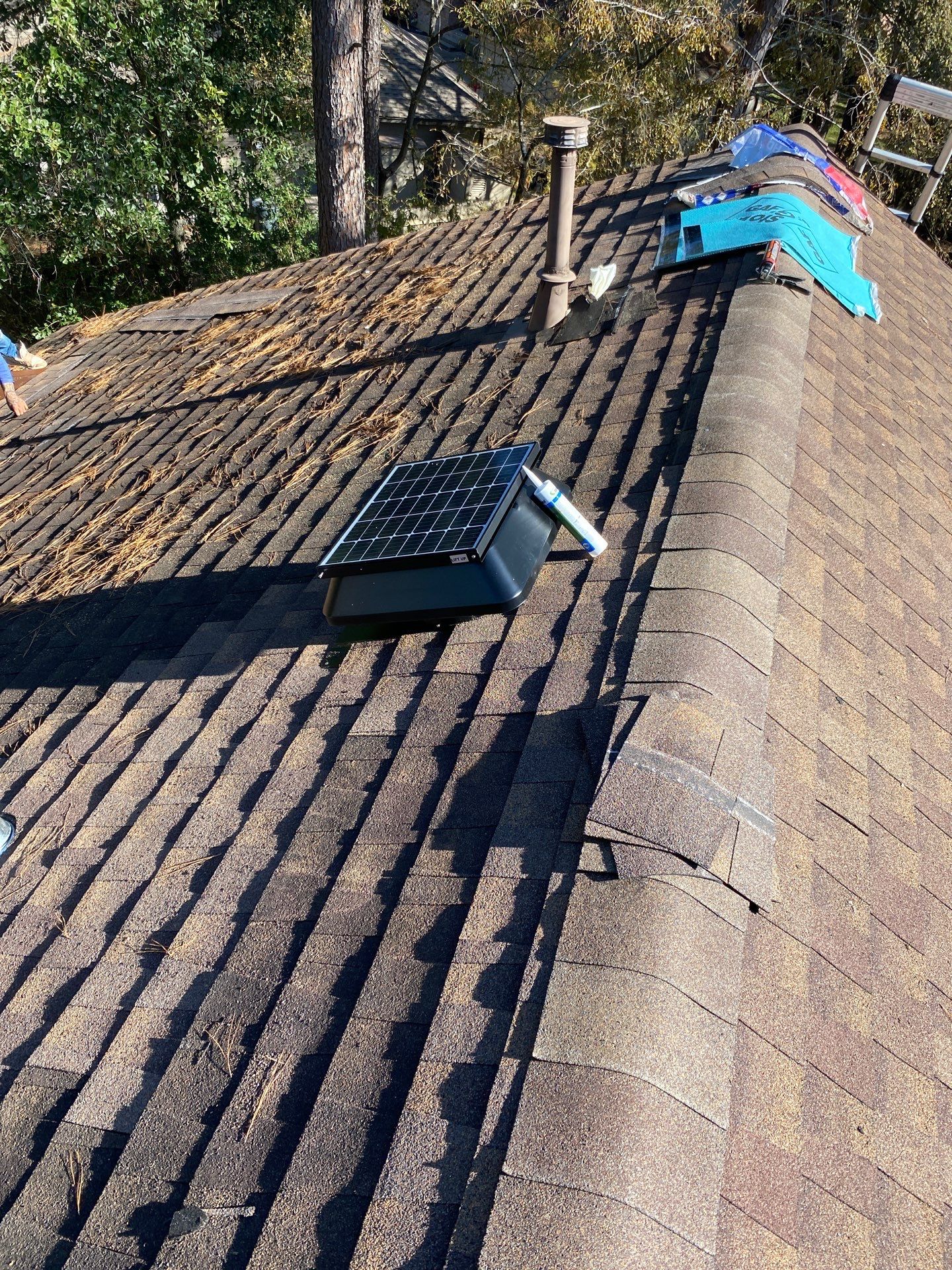 DAVID C by Boss Hogg Roofing