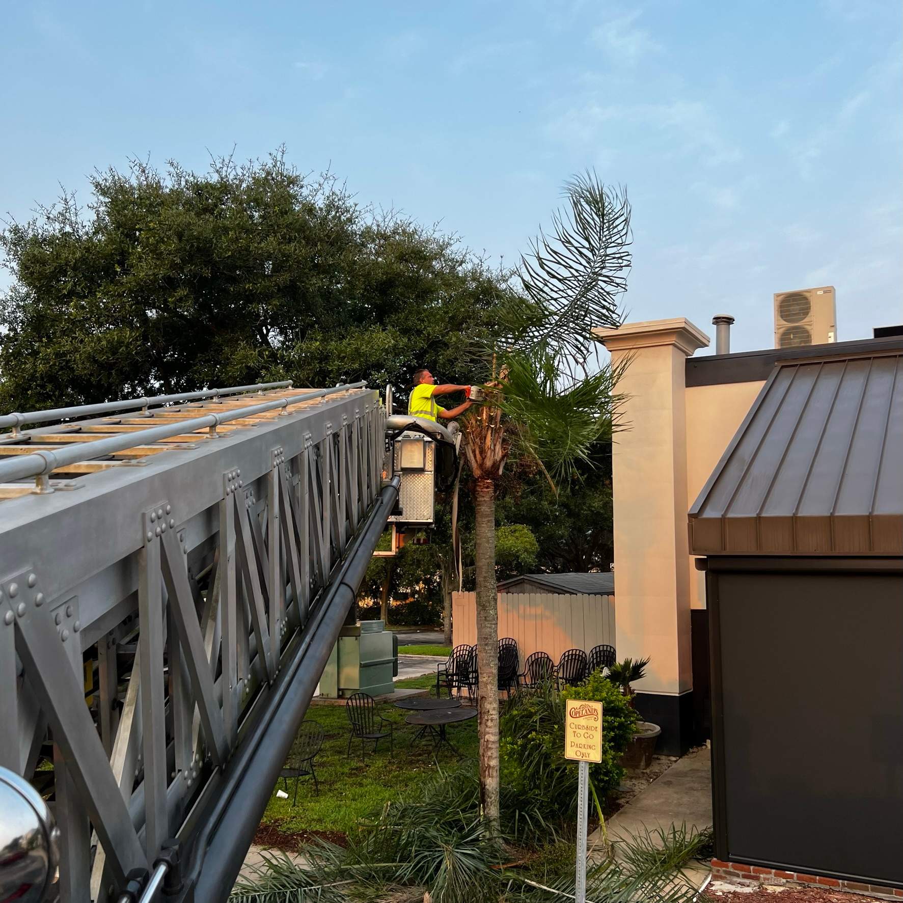 Tree Trimming | Copeland's Restaurant by ProGreen Services