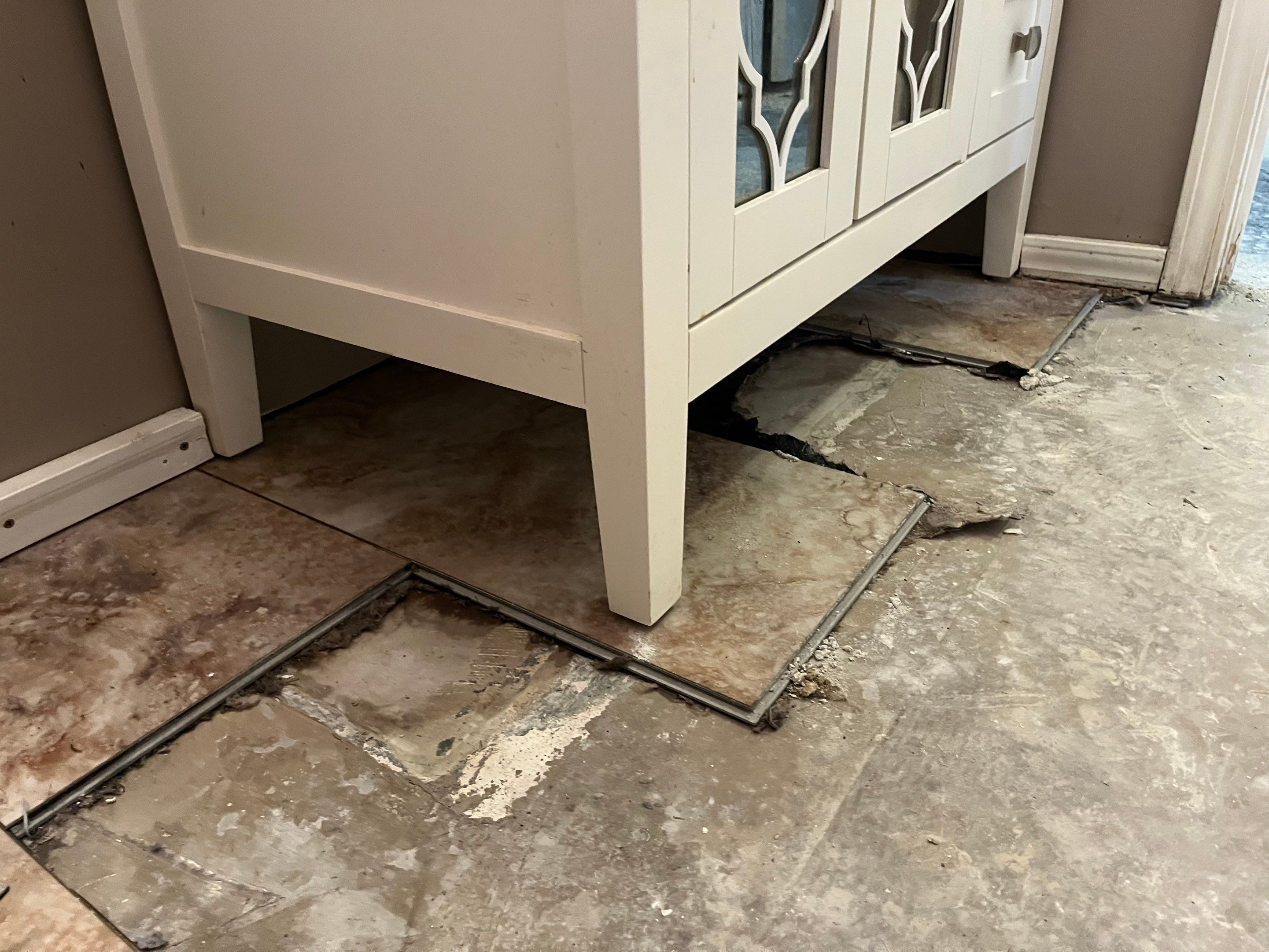 Mitigation and Repairs Project by ANR Restoration