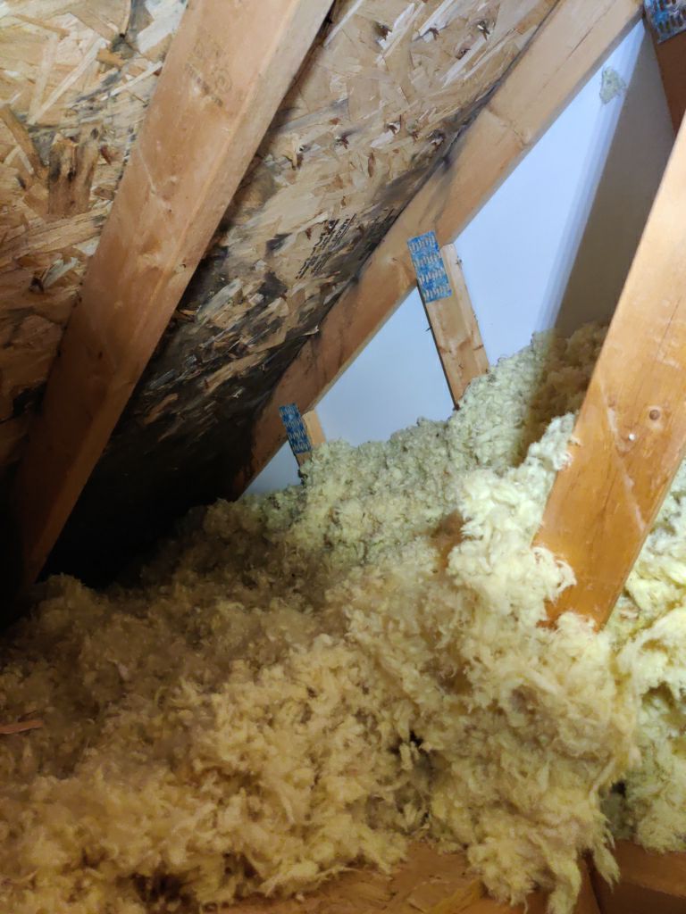 Mold Remediation Cleanup in Attic by Accountable Home Services