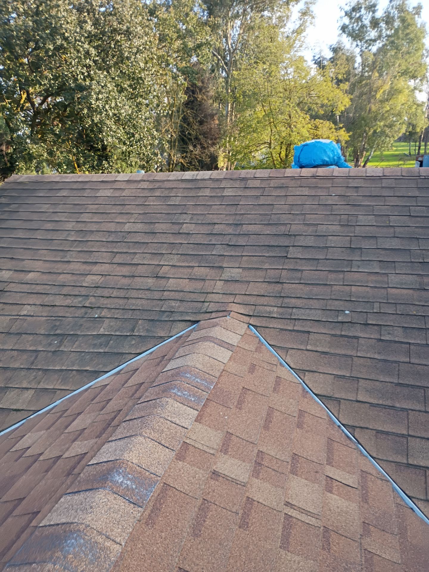 Roof Rejuvenation using Roof Maxx Treatment by Roof Maxx of Folsom