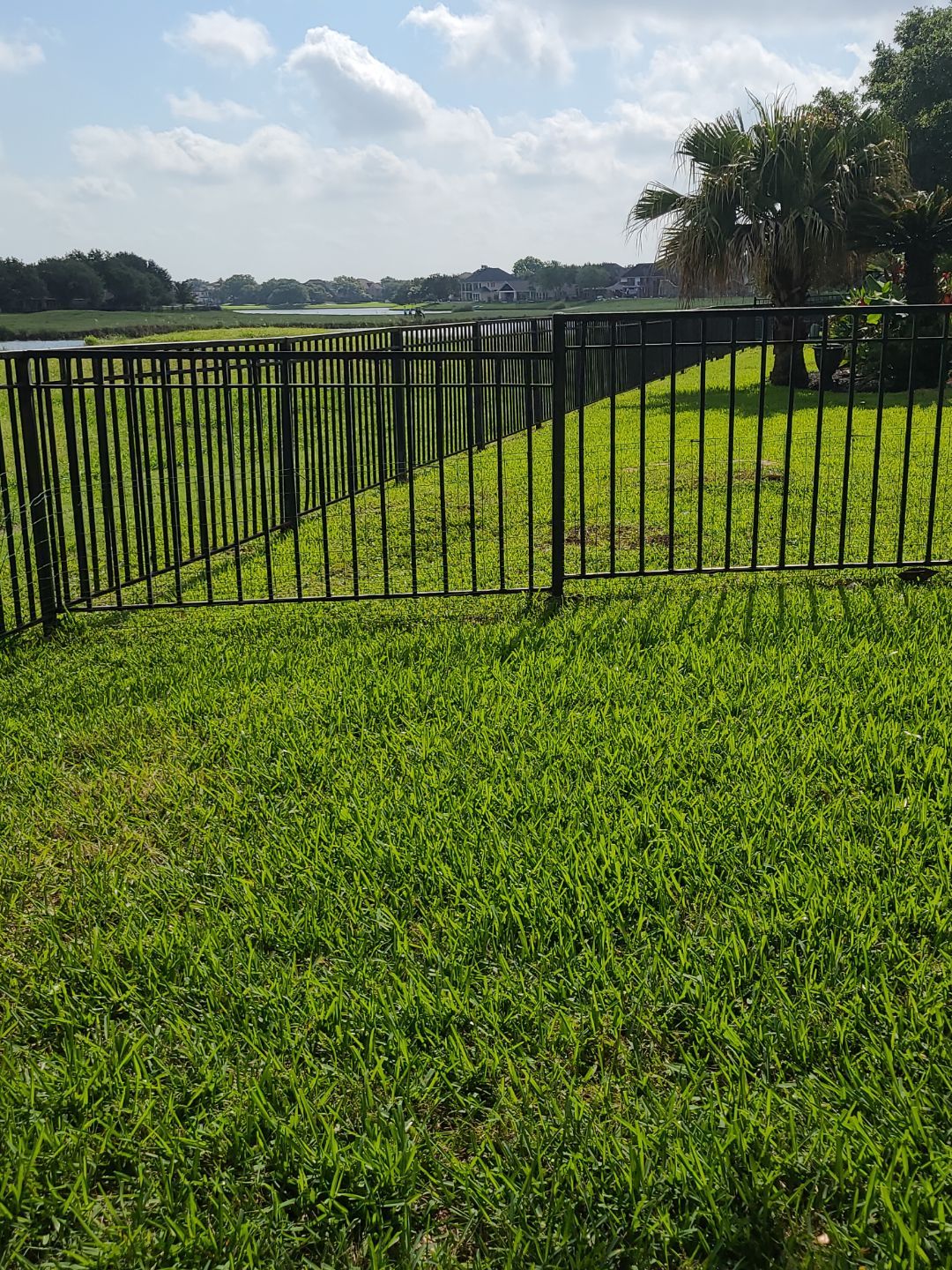 Stunning iron installation in Pearland by Tim's Fences