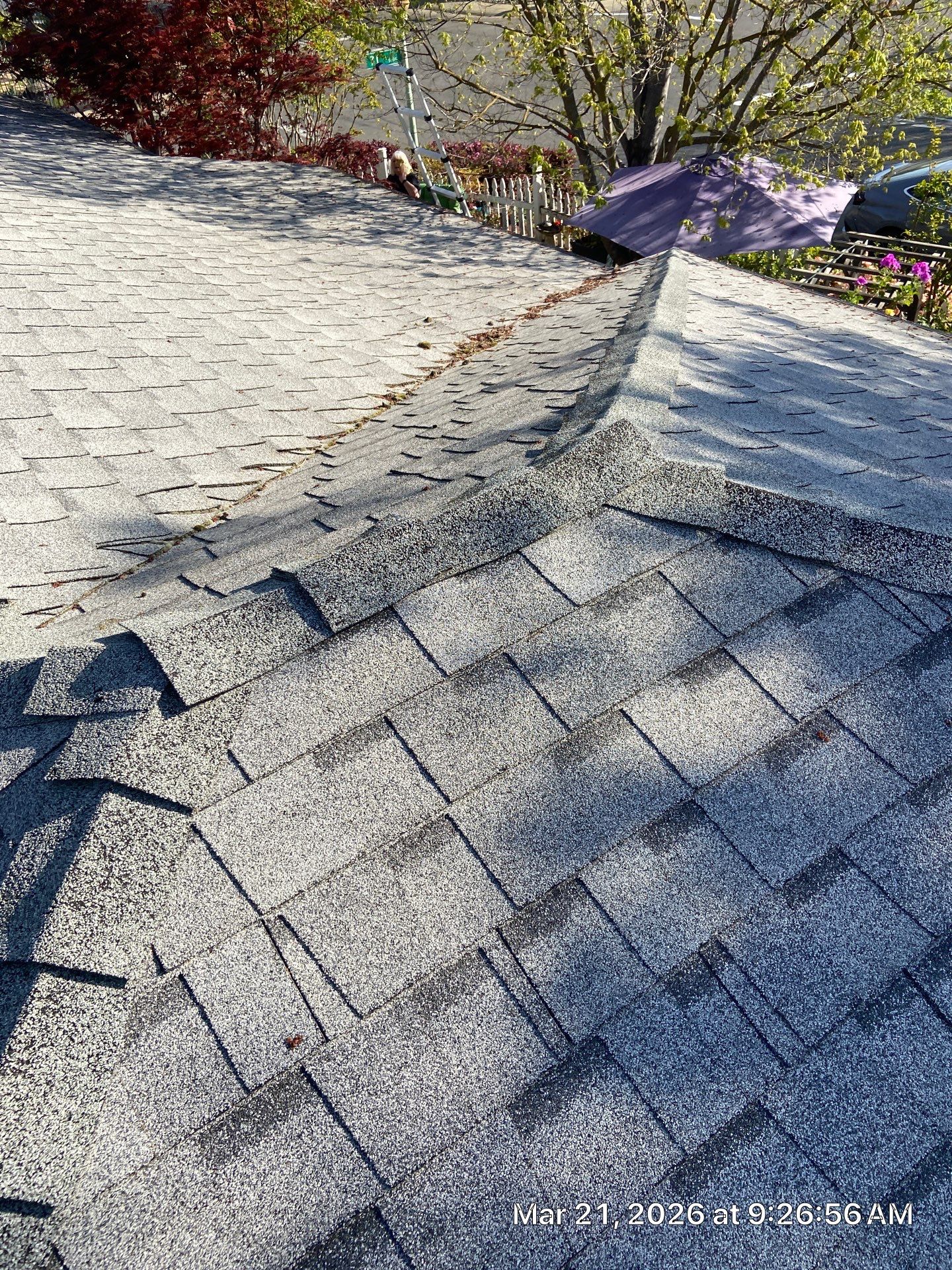 Roof Rejuvenation using Roof Maxx Treatment by Roof Maxx of Folsom