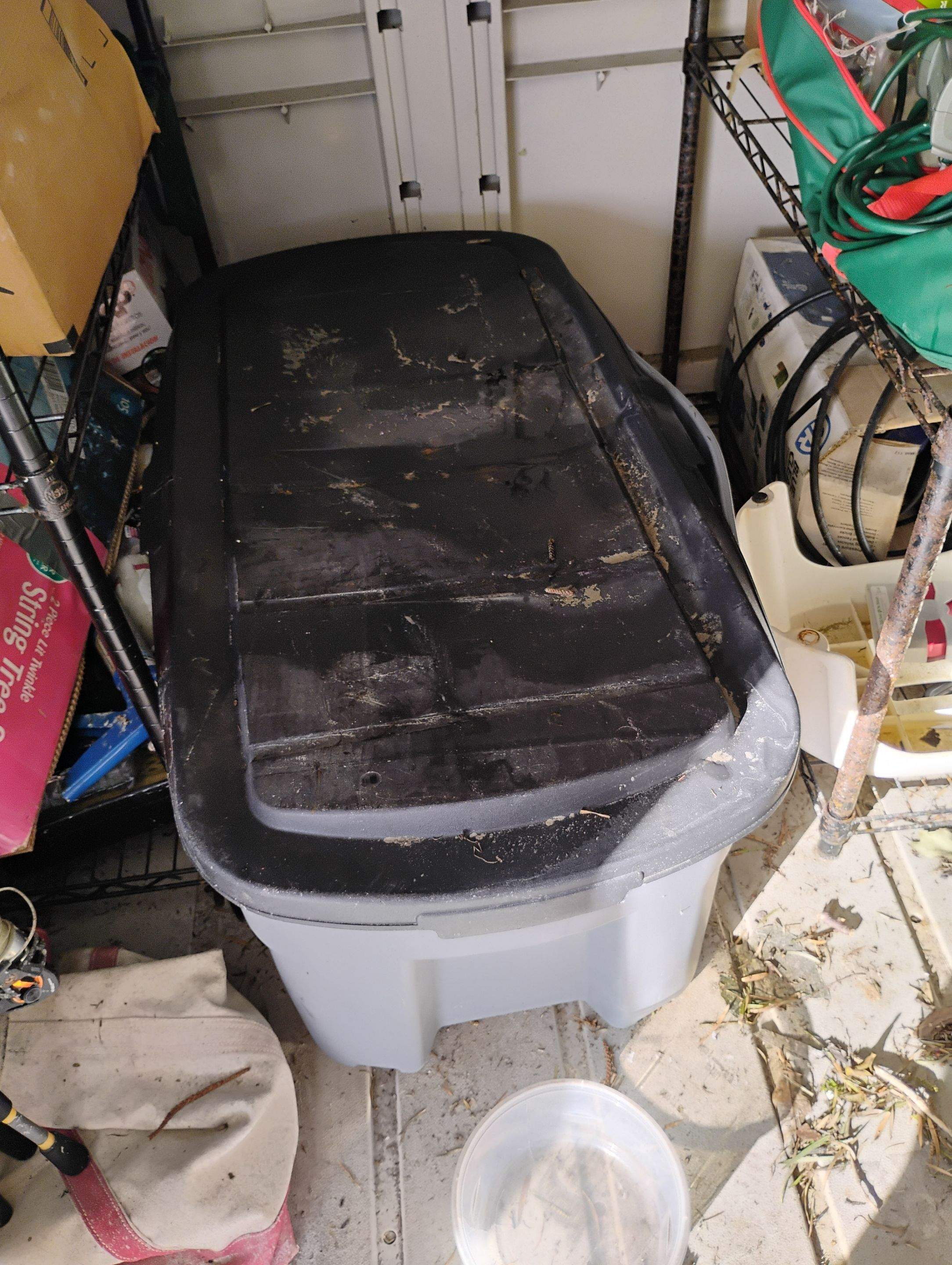 Flood Damage Claim in Holmes Beach by FLAPA & KeyStone