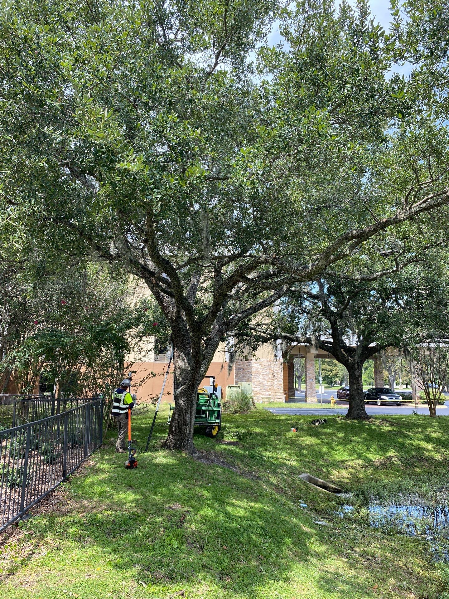 Tree & Shrub Removal | Marriott Hotel by ProGreen Services