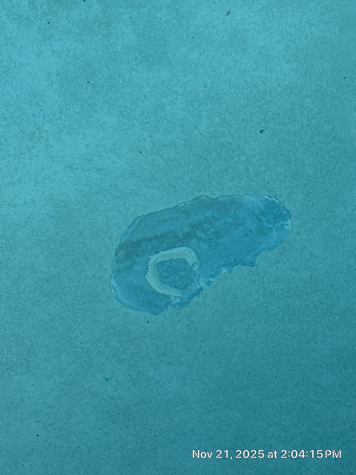 Beachside Resort - PCB by ASP - America's Swimming Pool Company