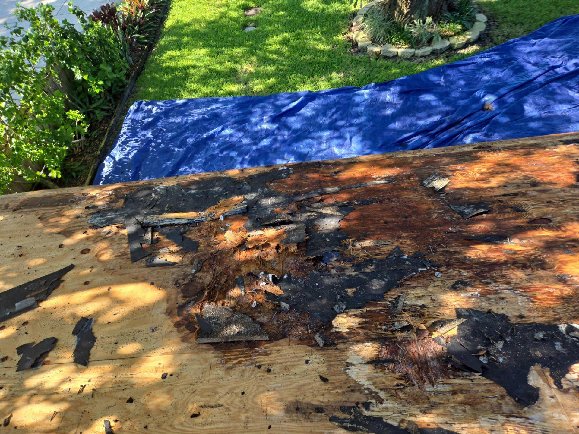 Project in Pinellas Park 33781 by Mitchell Roofing Company LLC 