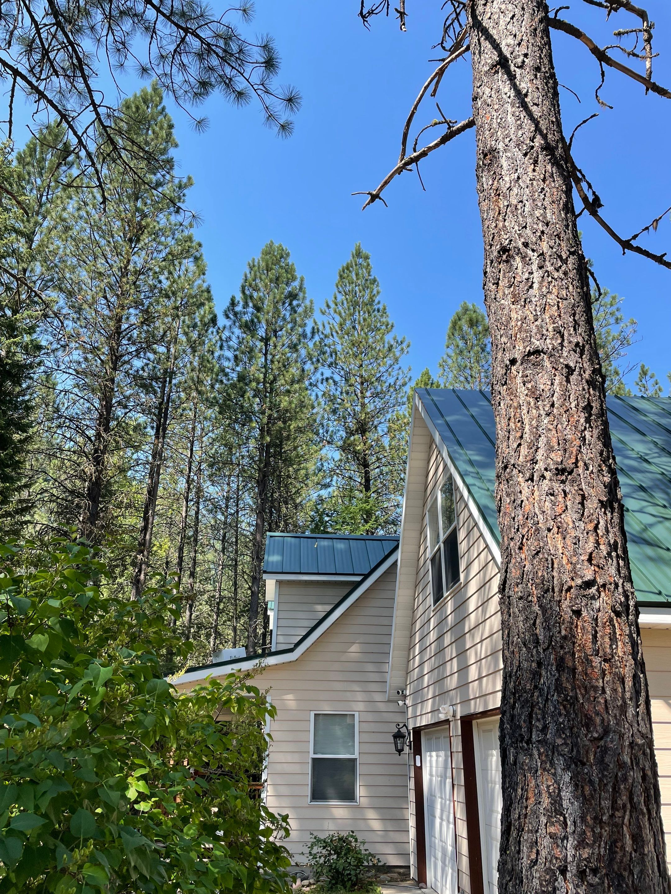 Green Snap Lock Standing Seam  by Montana Roofing Solutions