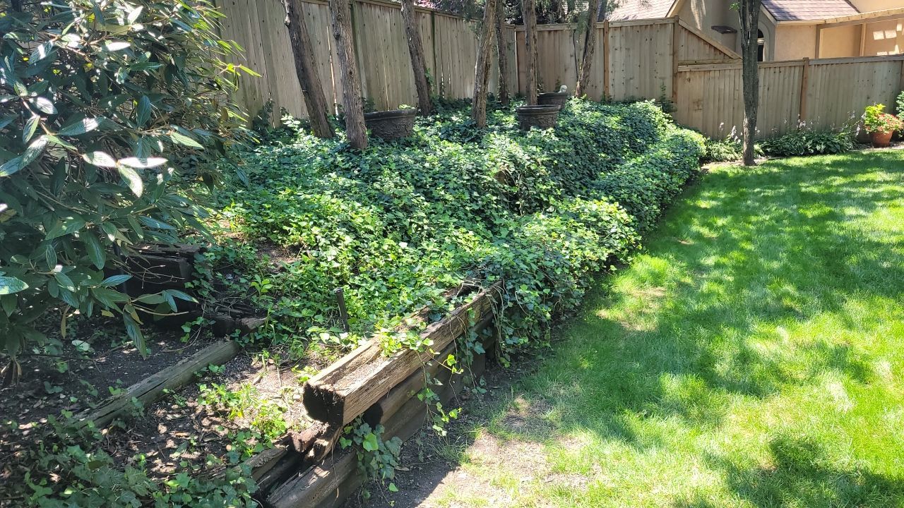 Back Yard Harington Retaining Wall by LAND ESCAPES LLC