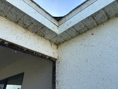 Spider Web Removal, House Wash & Lanai Cleaning in Apollo Beach, FL